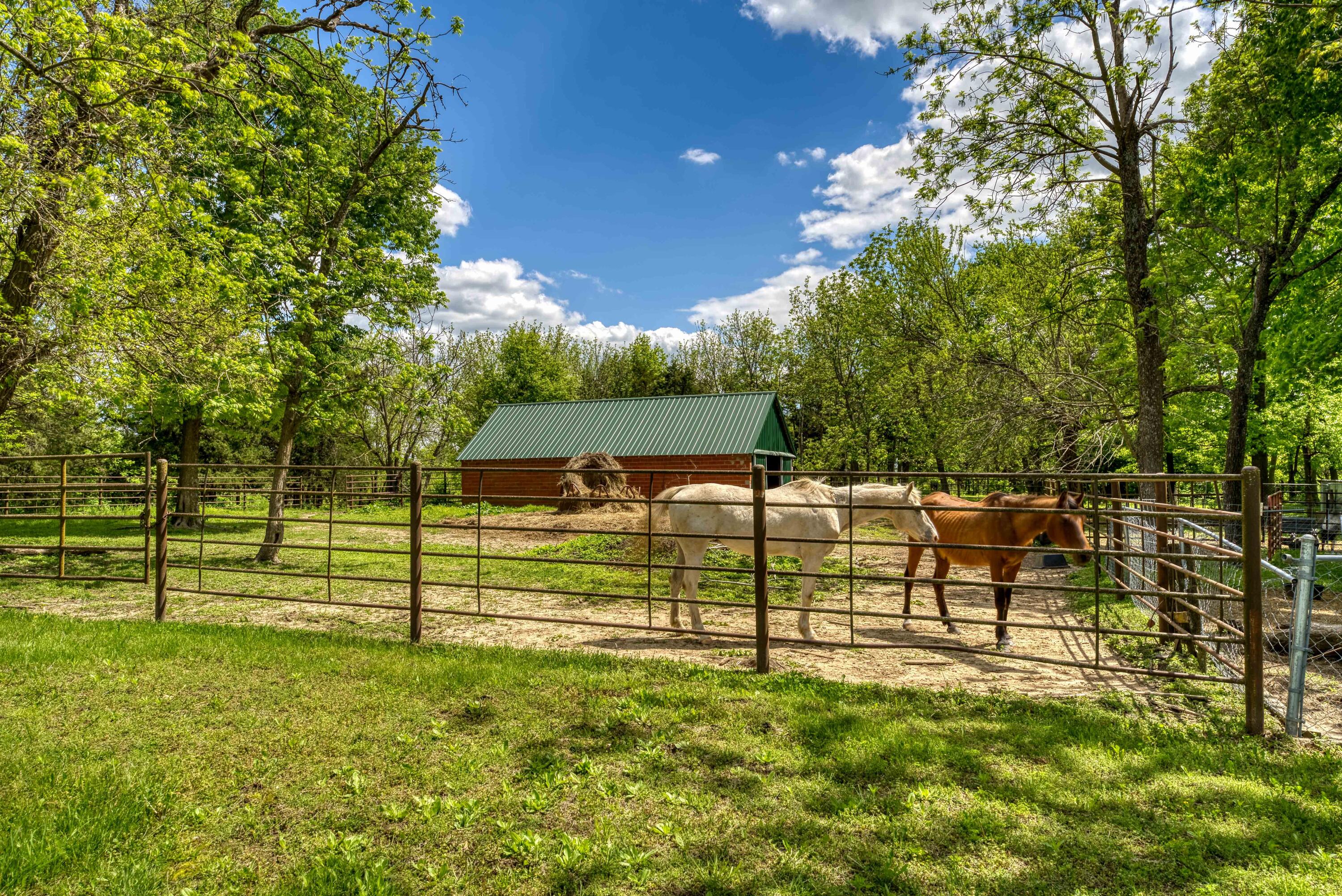 1244 Southwest 101 Road Property Photo 8