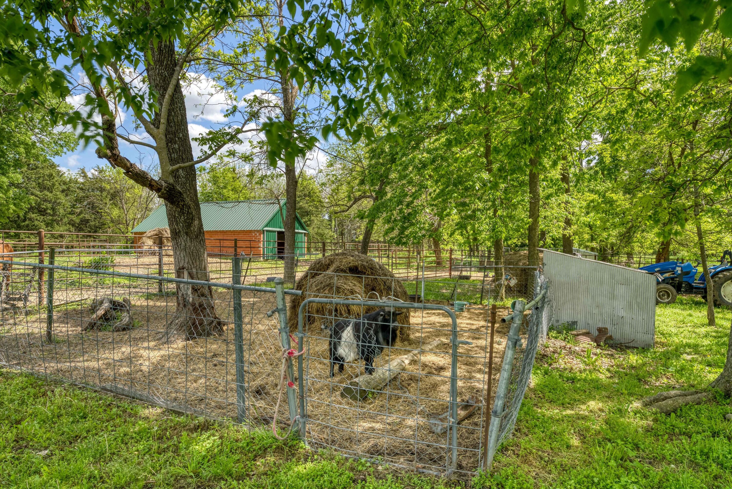 1244 Southwest 101 Road Property Photo 9