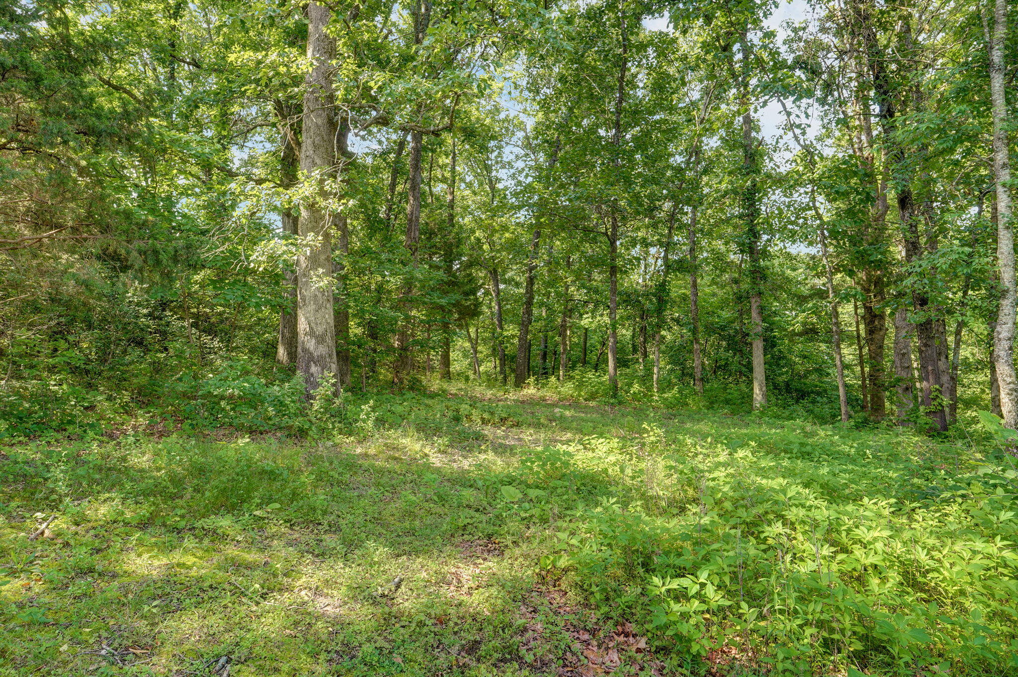 136 Cedar Dale Lane Property Photo 7