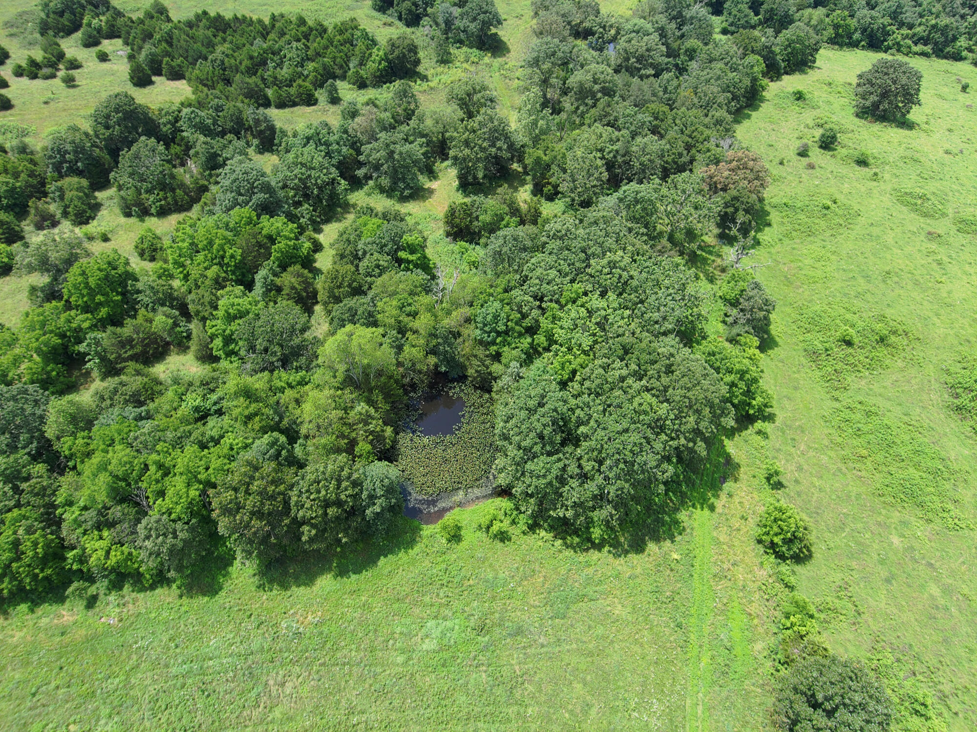 2813 State Route Aa Property Photo 12