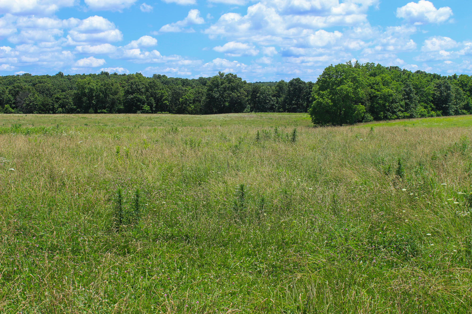 2813 State Route Aa Property Photo 29