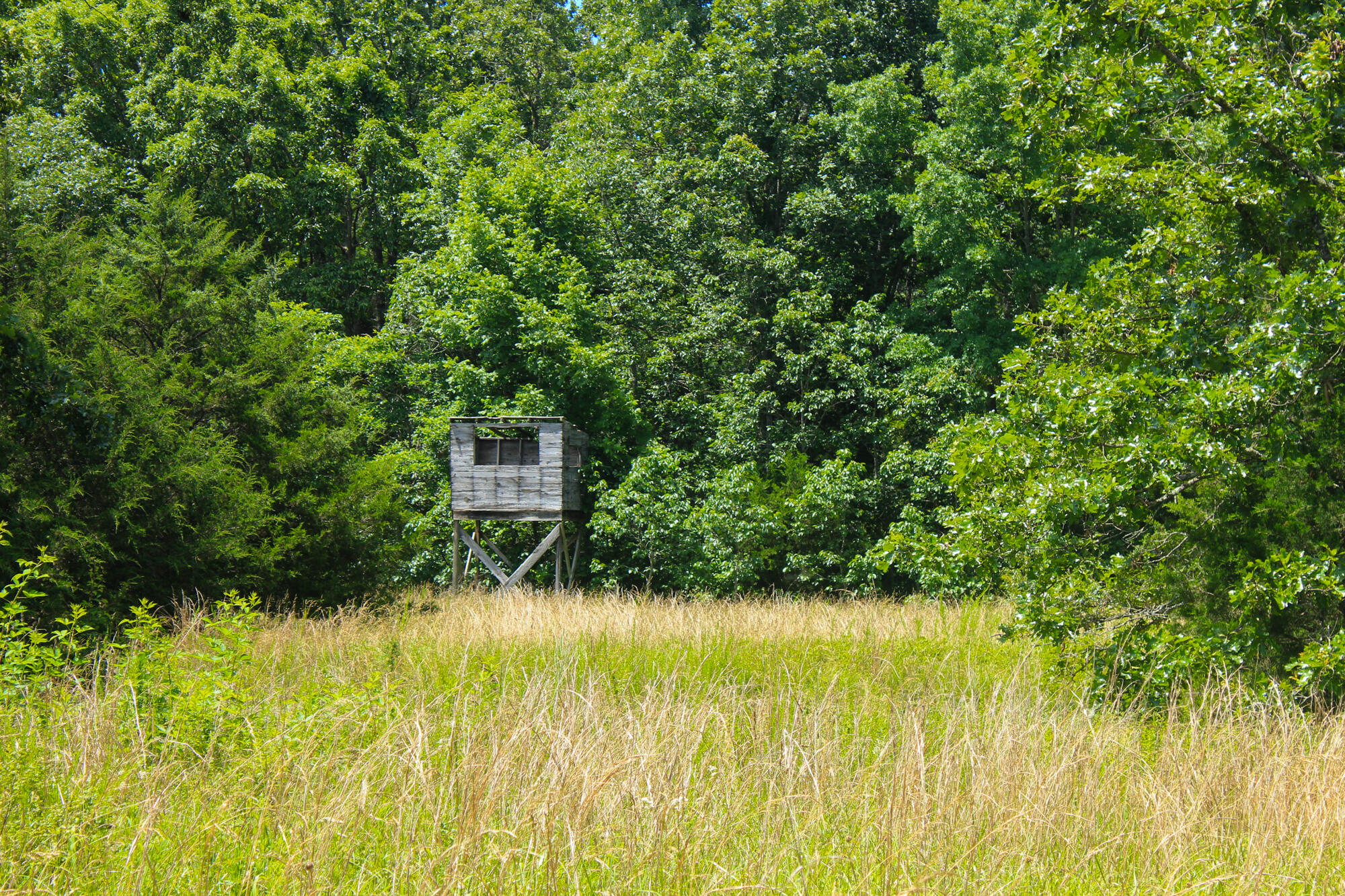 2813 State Route Aa Property Photo 32