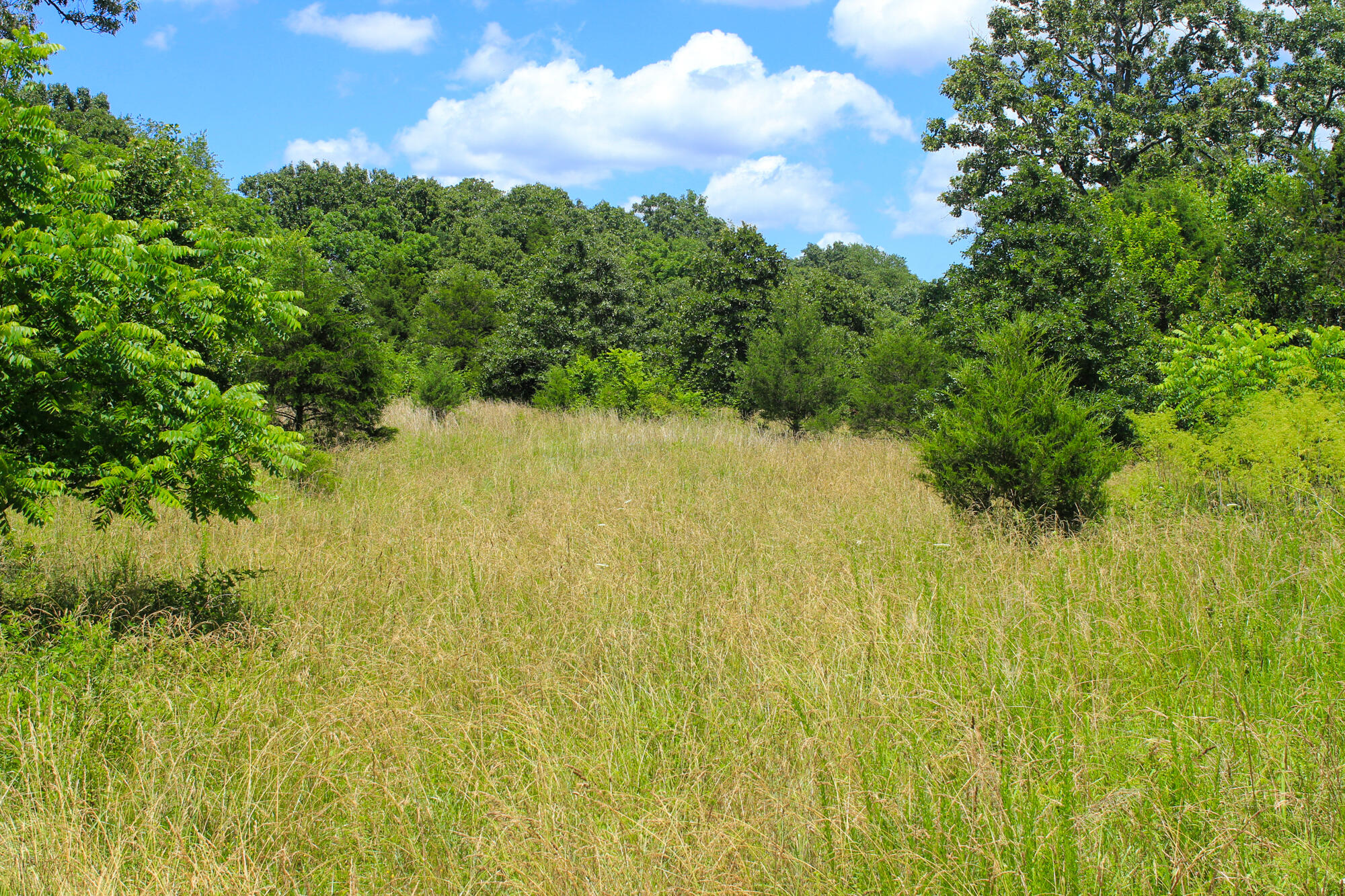 2813 State Route Aa Property Photo 33