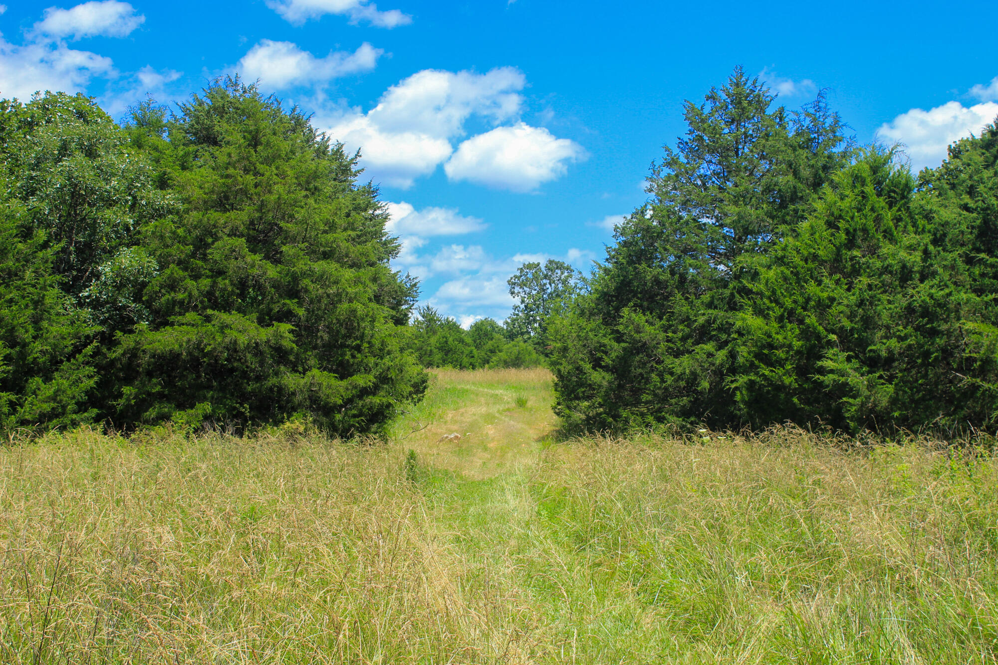 2813 State Route Aa Property Photo 34