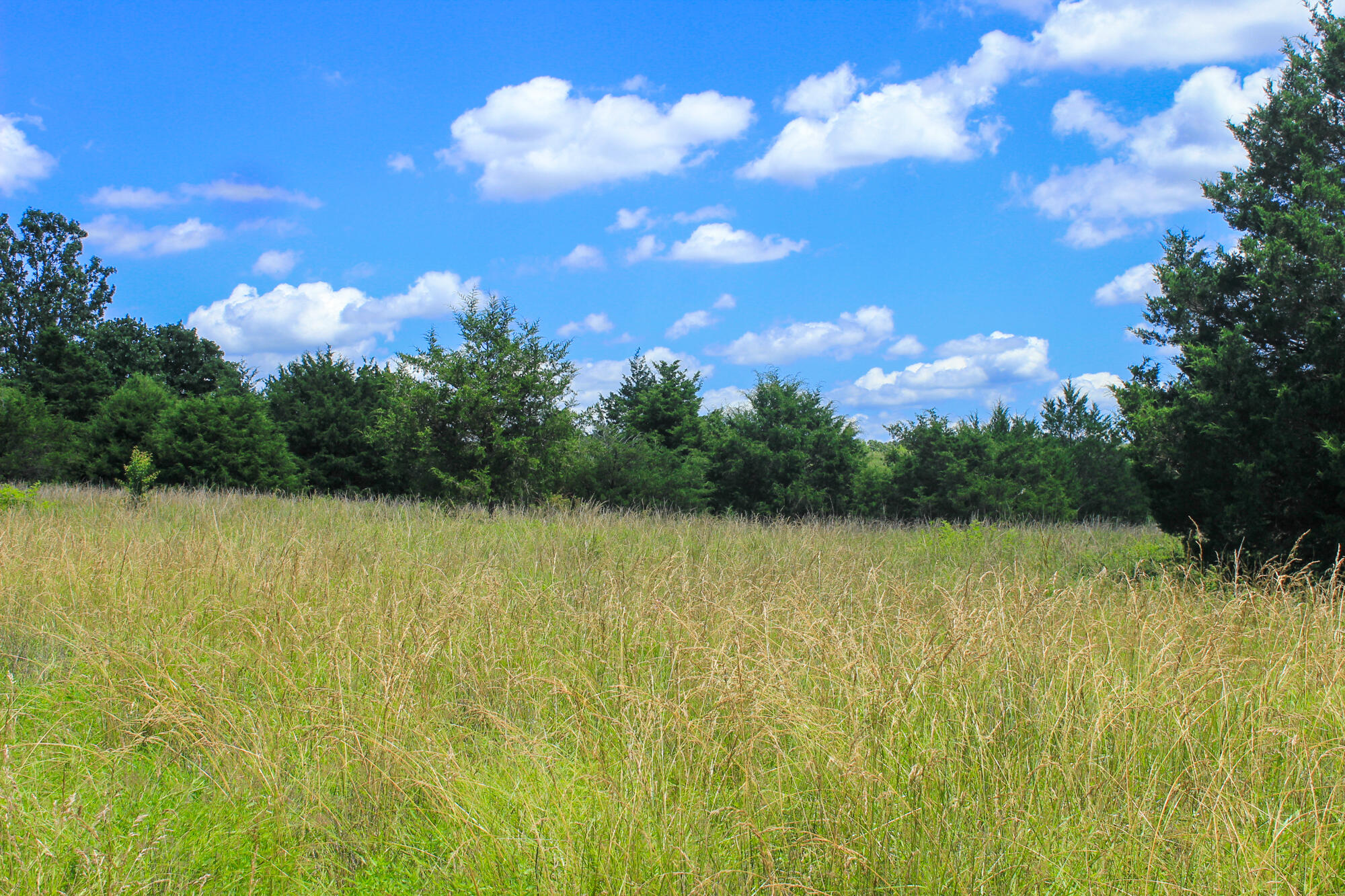 2813 State Route Aa Property Photo 35