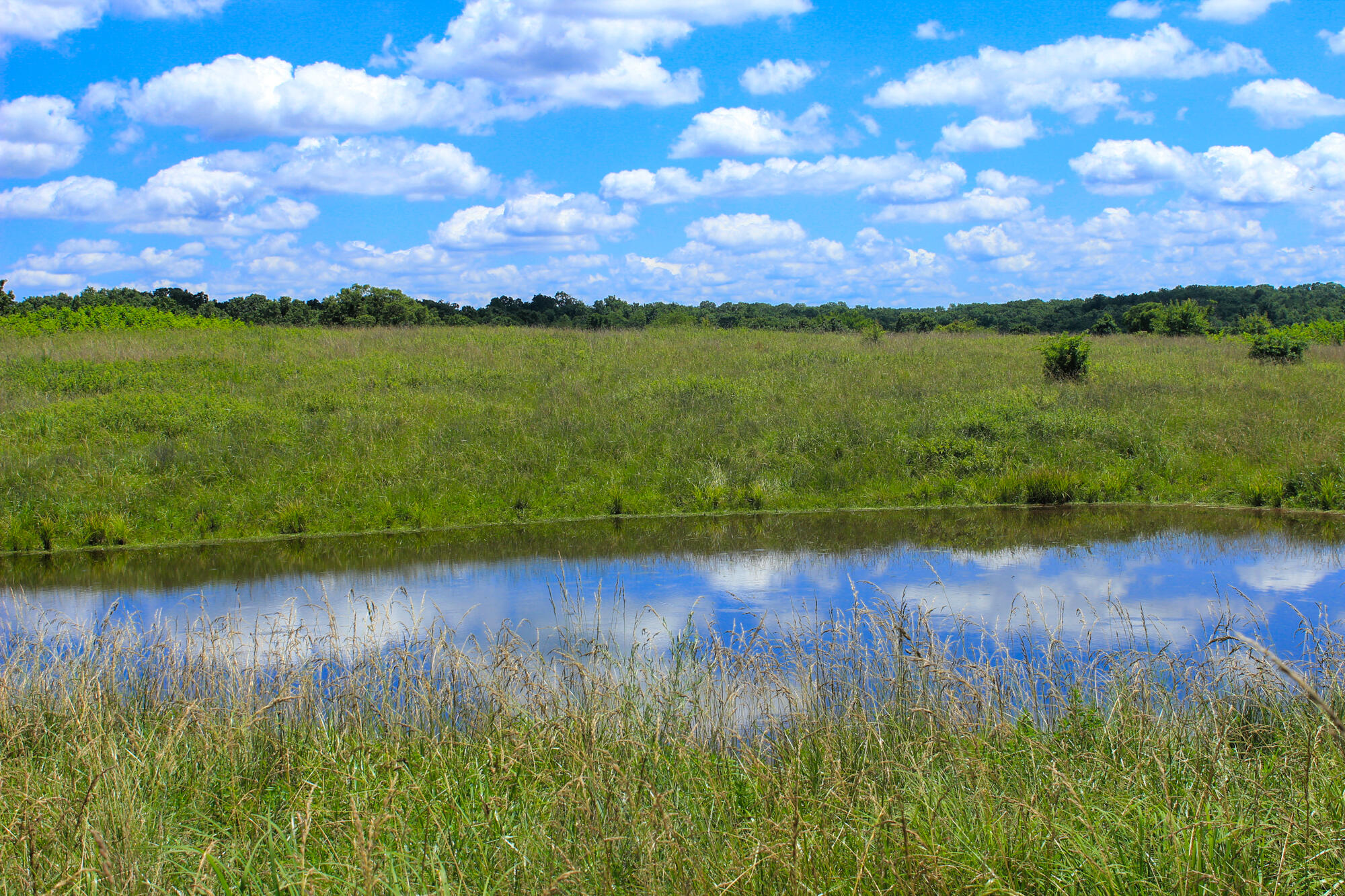 2813 State Route Aa Property Photo 36