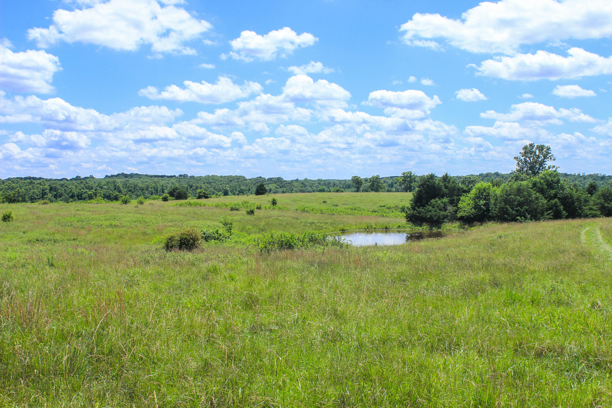 2813 State Route Aa Property Photo 37