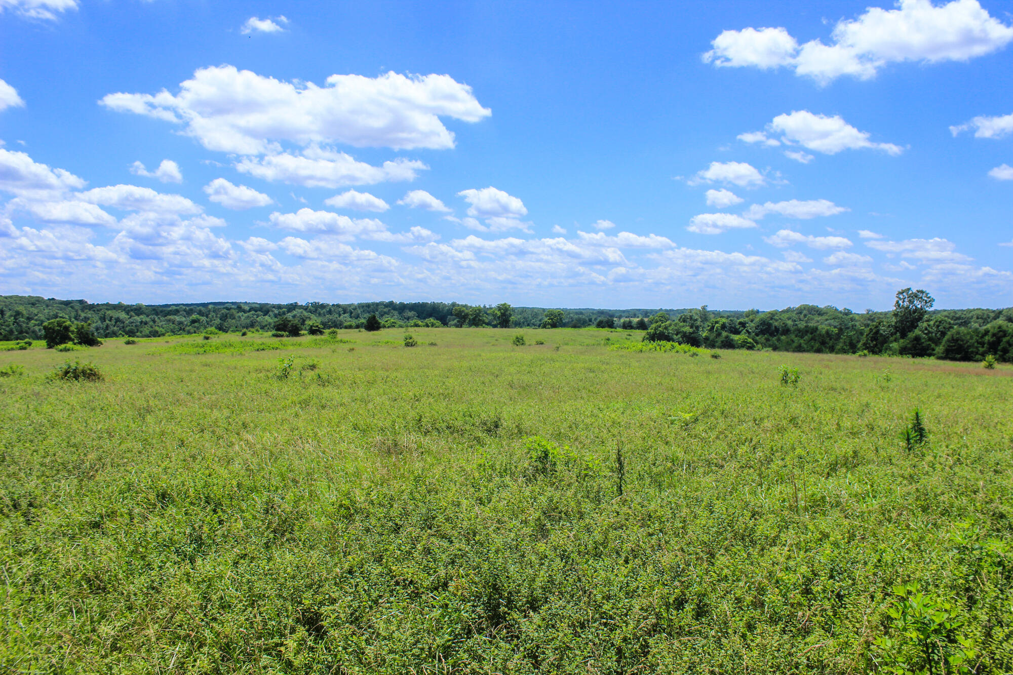 2813 State Route Aa Property Photo 38
