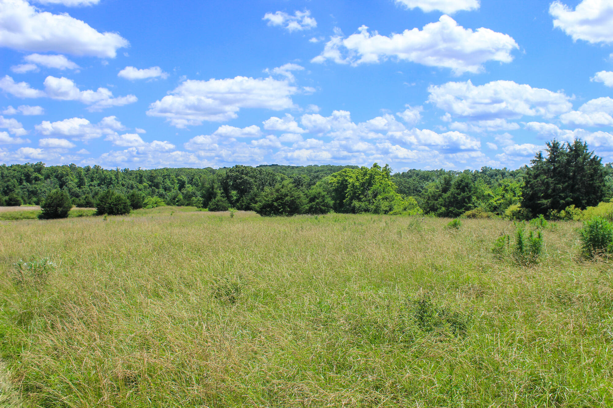 2813 State Route Aa Property Photo 39