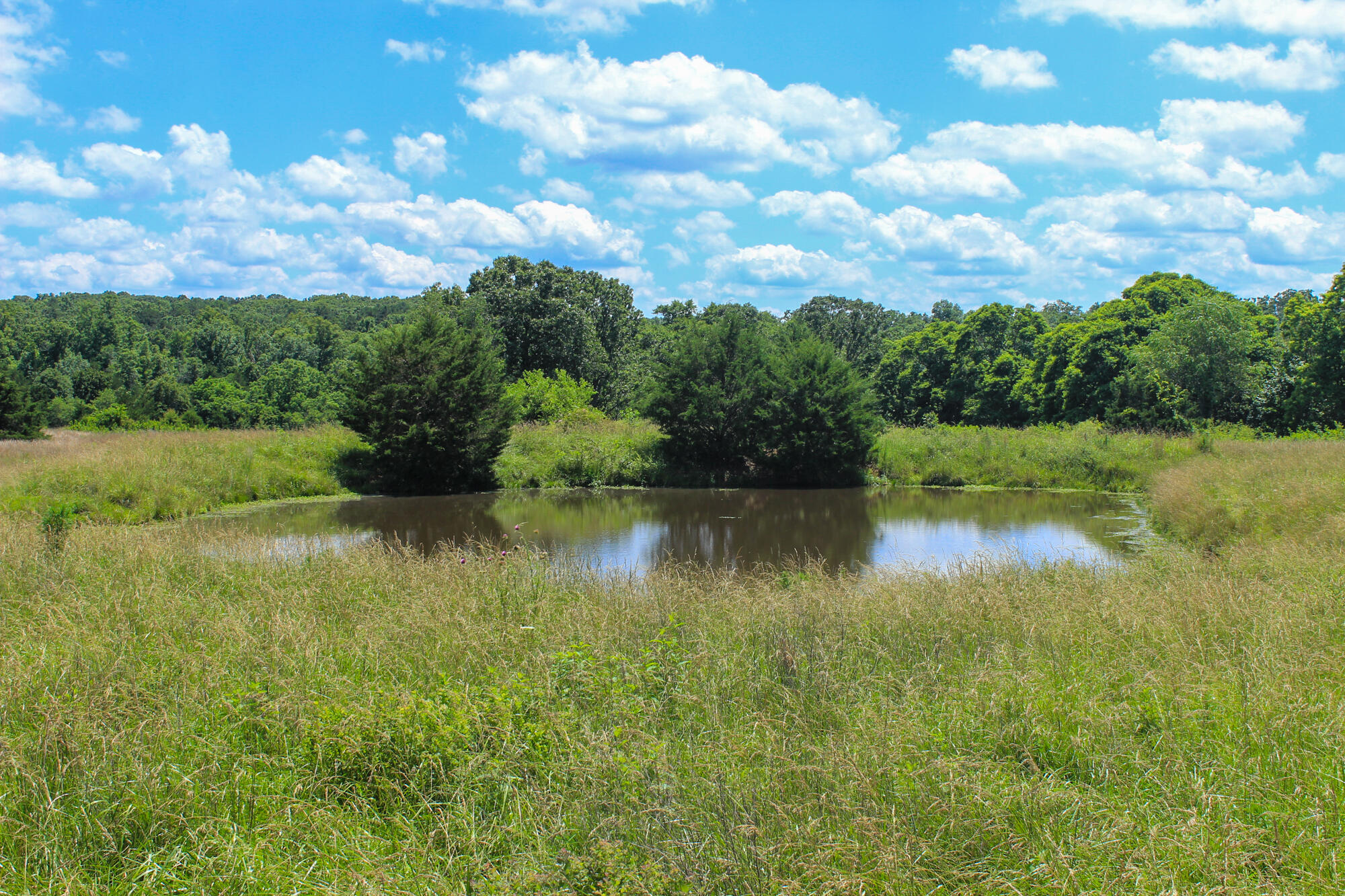 2813 State Route Aa Property Photo 40