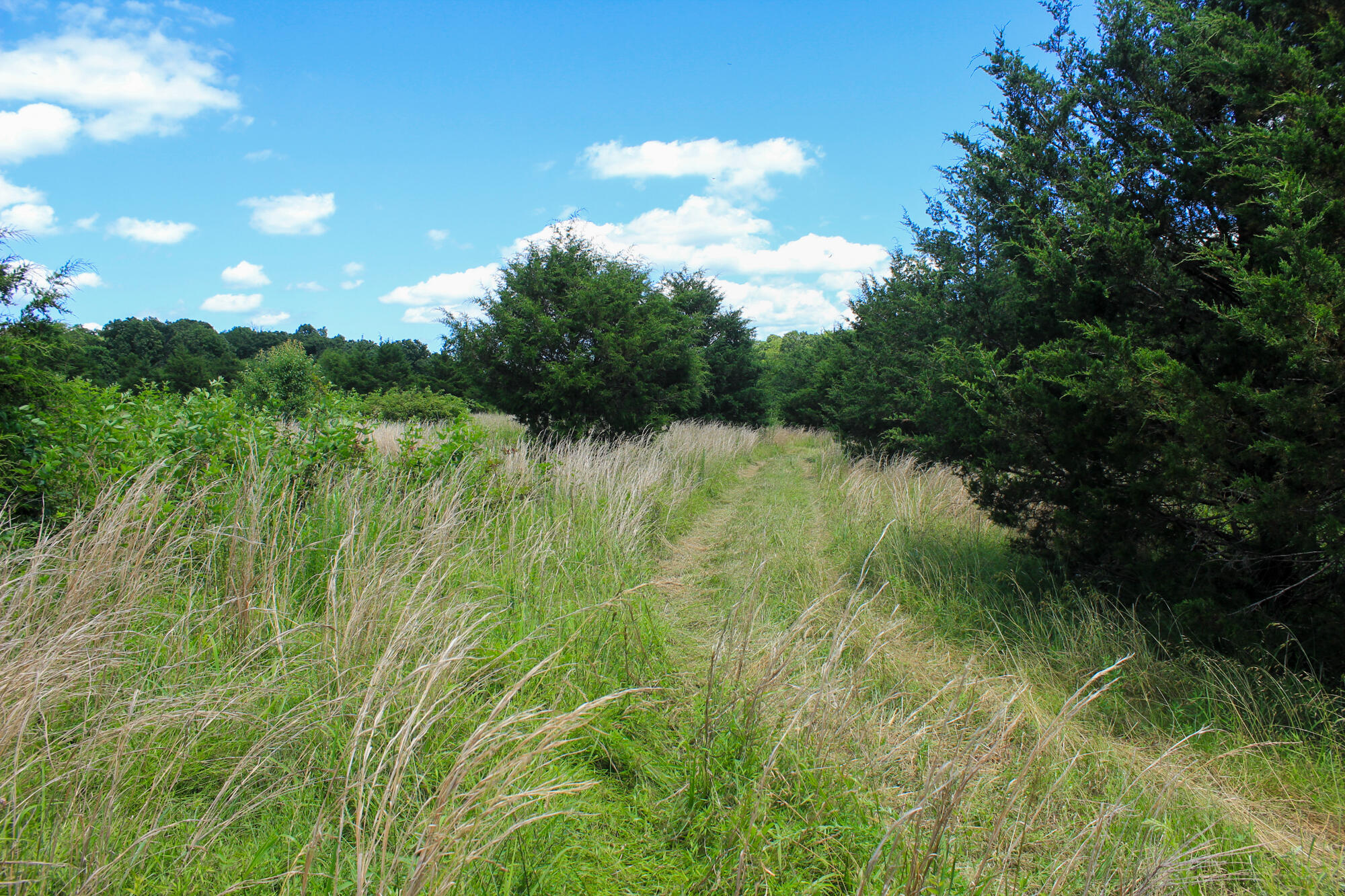 2813 State Route Aa Property Photo 41