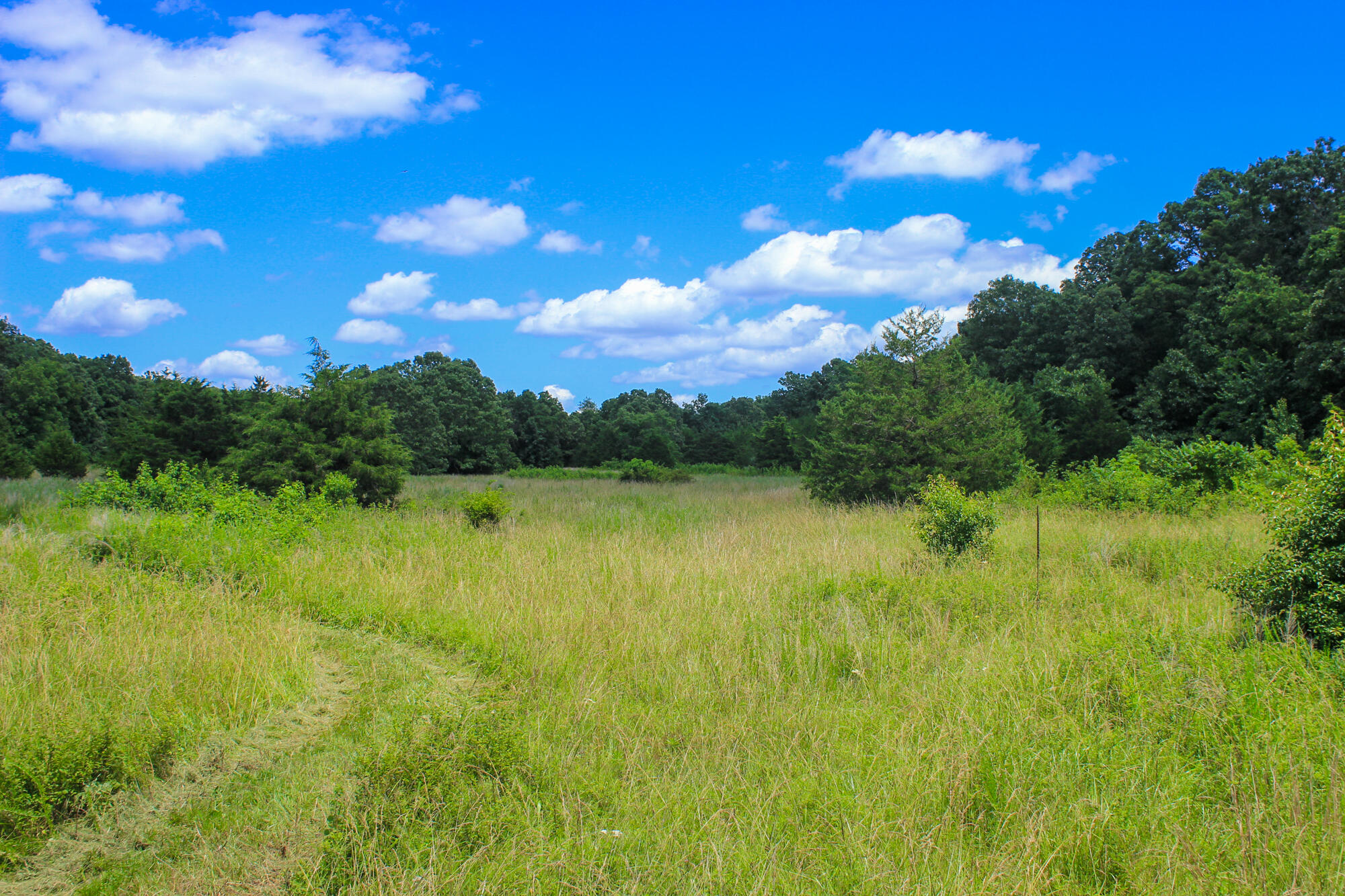 2813 State Route Aa Property Photo 42