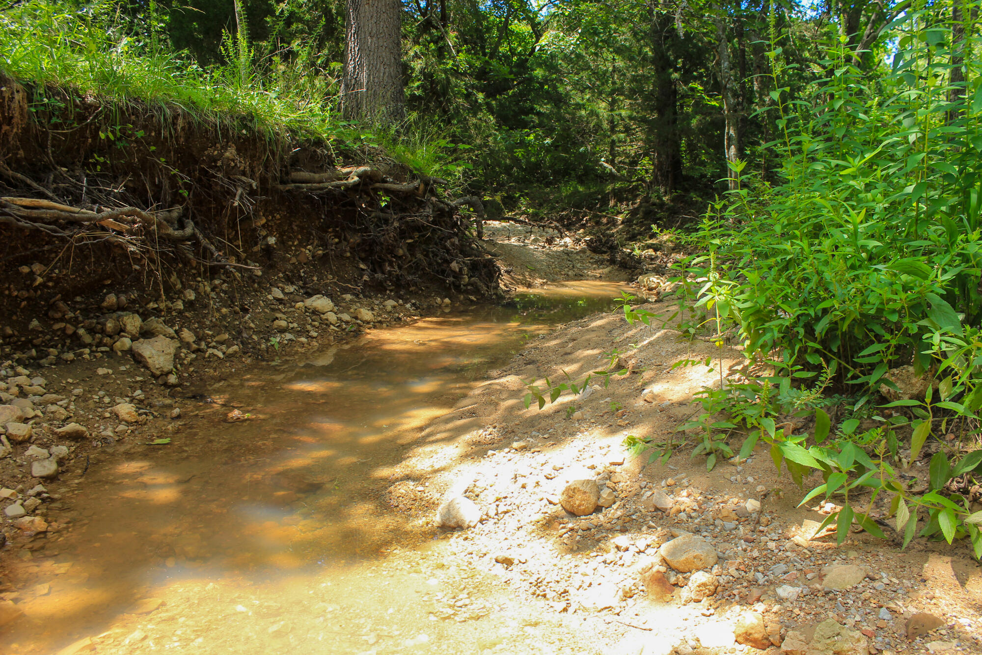 2813 State Route Aa Property Photo 43