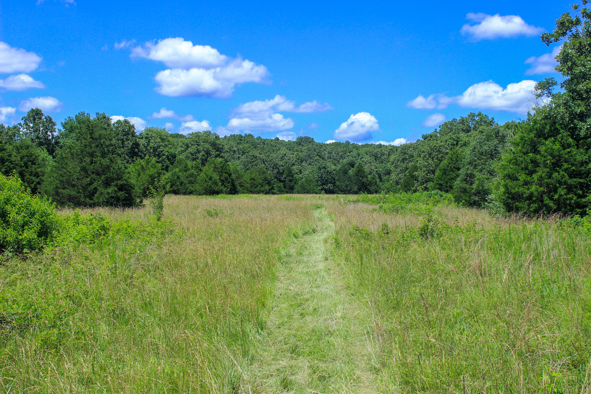 2813 State Route Aa Property Photo 44