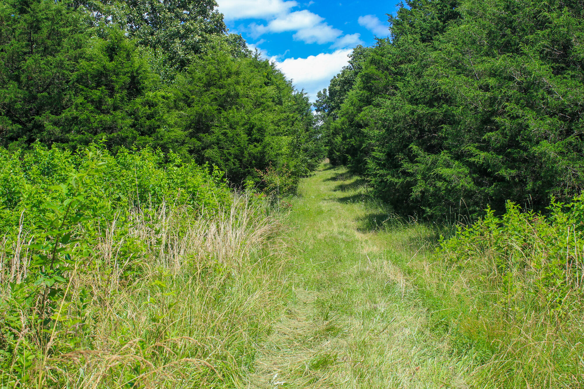 2813 State Route Aa Property Photo 45