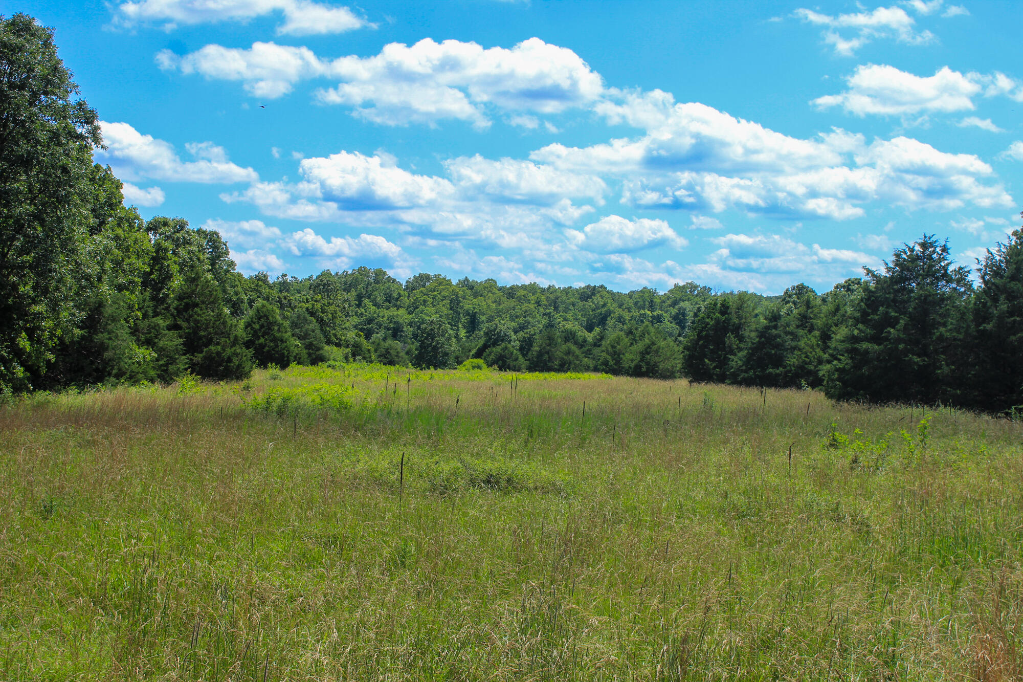 2813 State Route Aa Property Photo 47