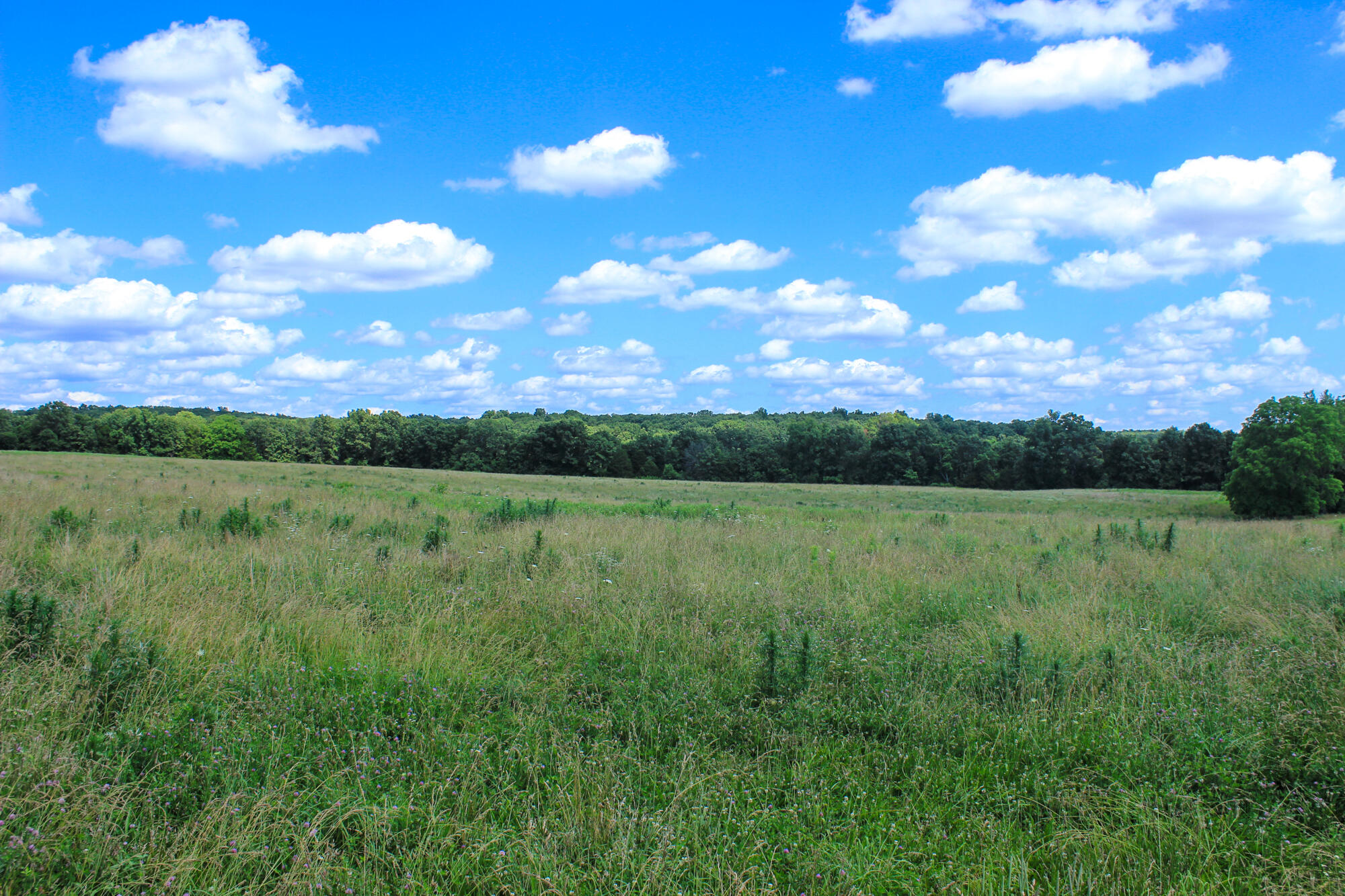 2813 State Route Aa Property Photo 48