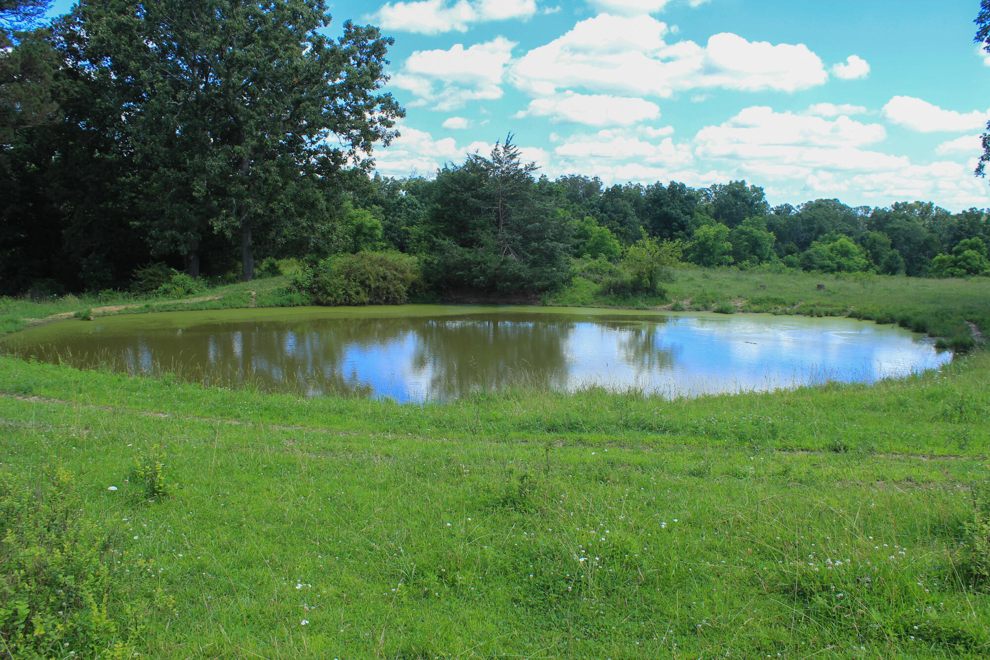 2813 State Route Aa Property Photo 49