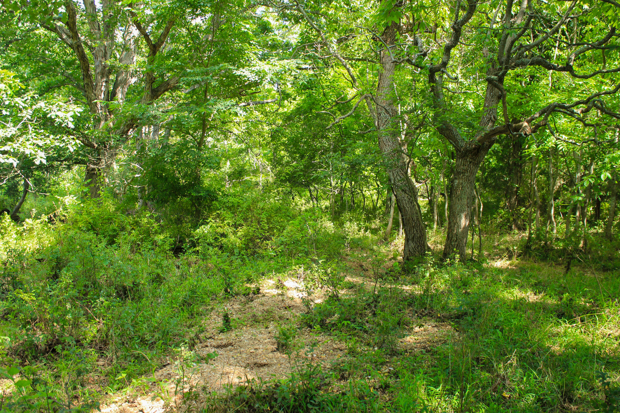 2813 State Route Aa Property Photo 51