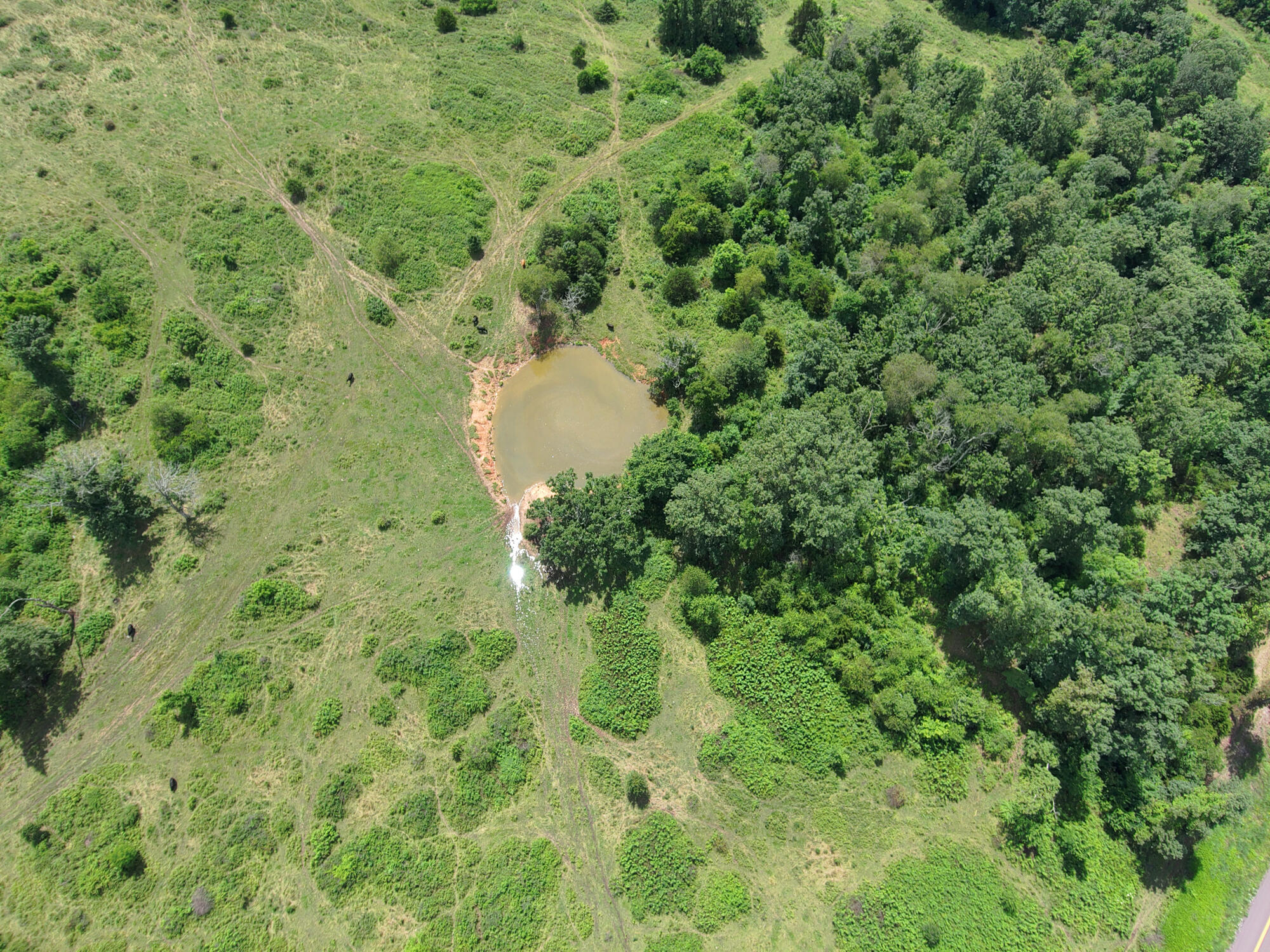 2813 State Route Aa Property Photo 53