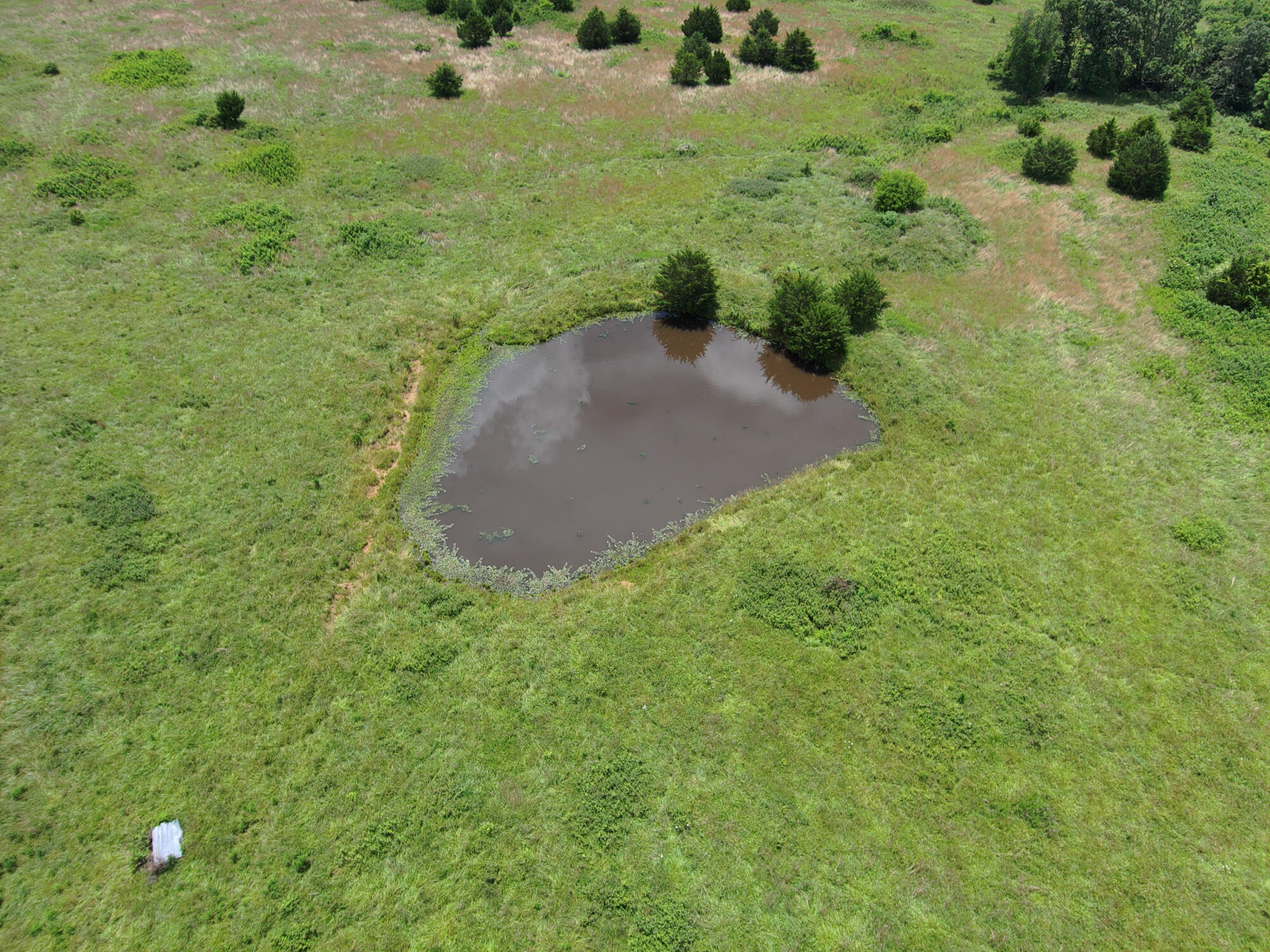 2813 State Route Aa Property Photo 54