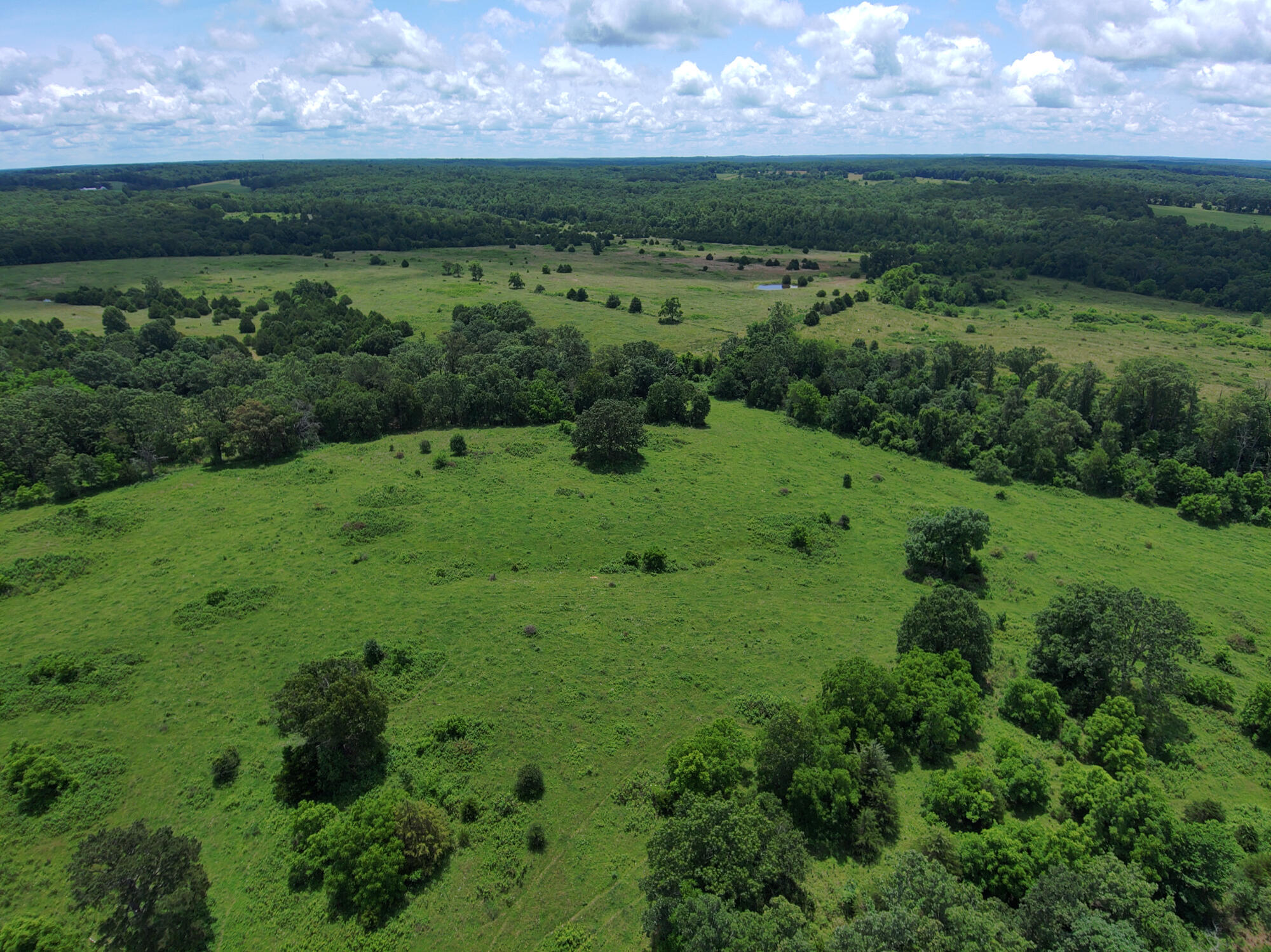 2813 State Route Aa Property Photo 59