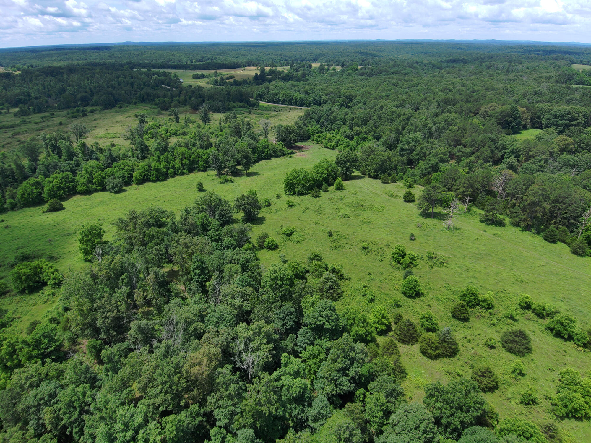 2813 State Route Aa Property Photo 60
