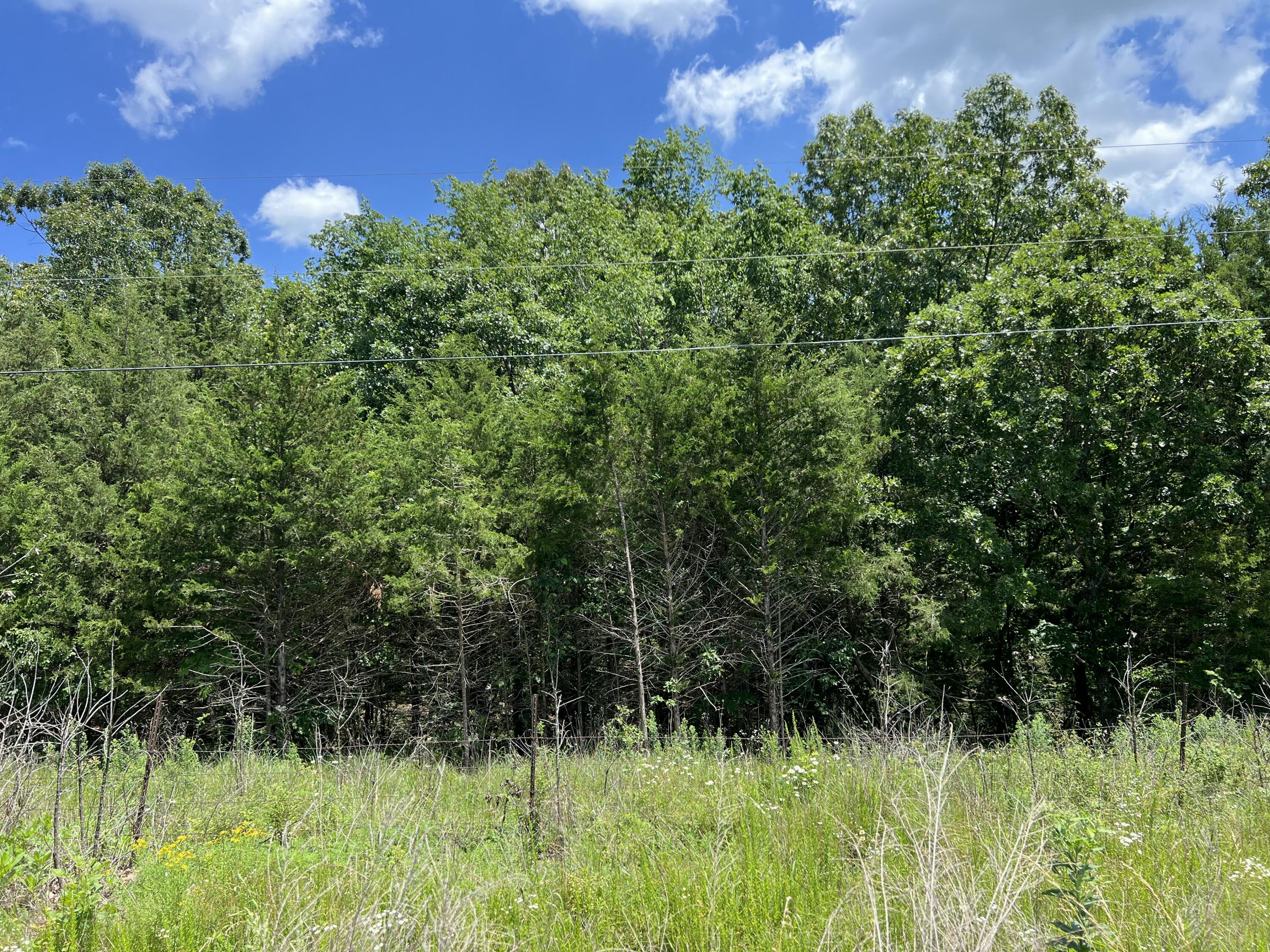 000 Gardner Hill Lane Property Photo 4