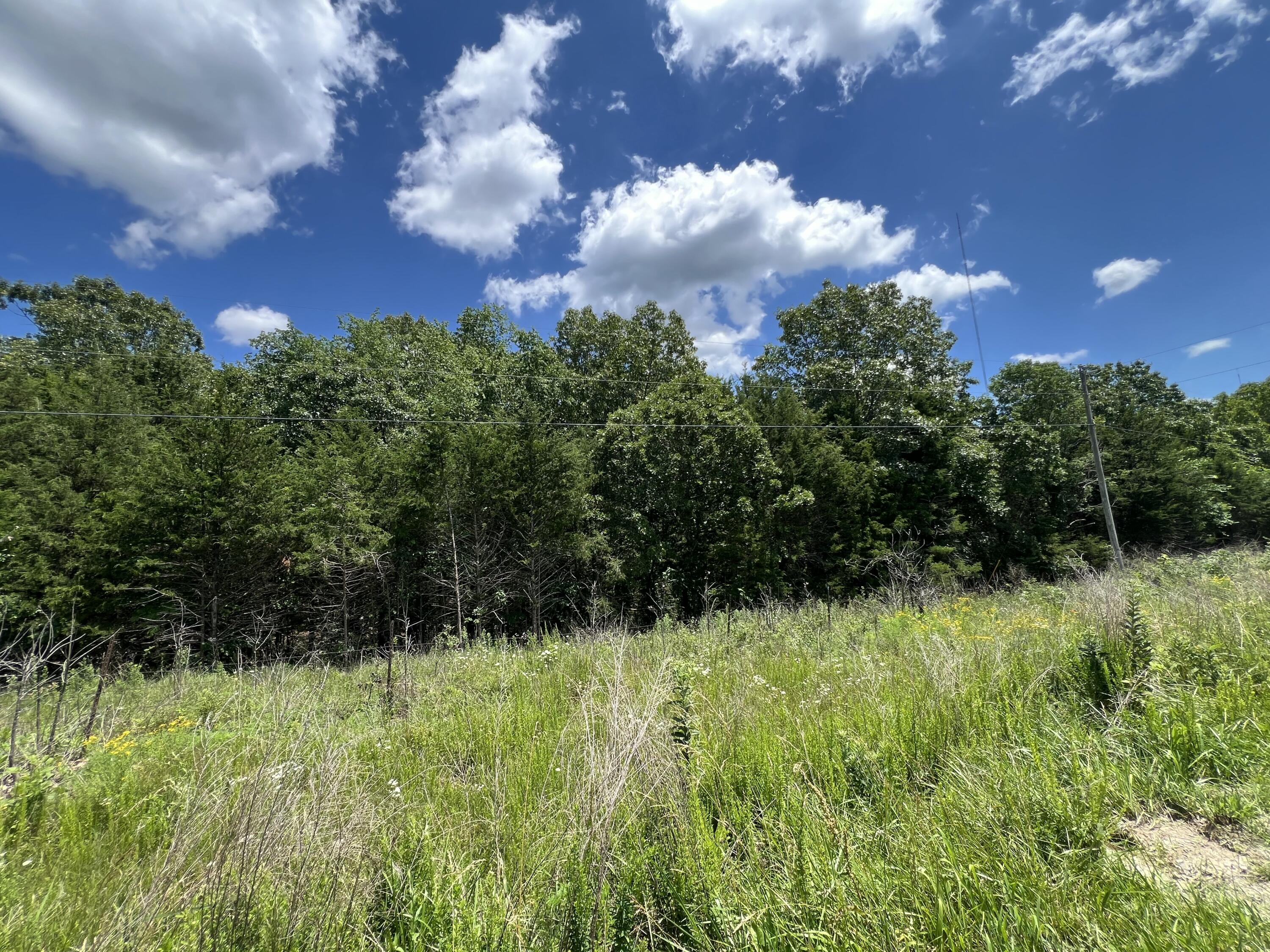 000 Gardner Hill Lane Property Photo 5
