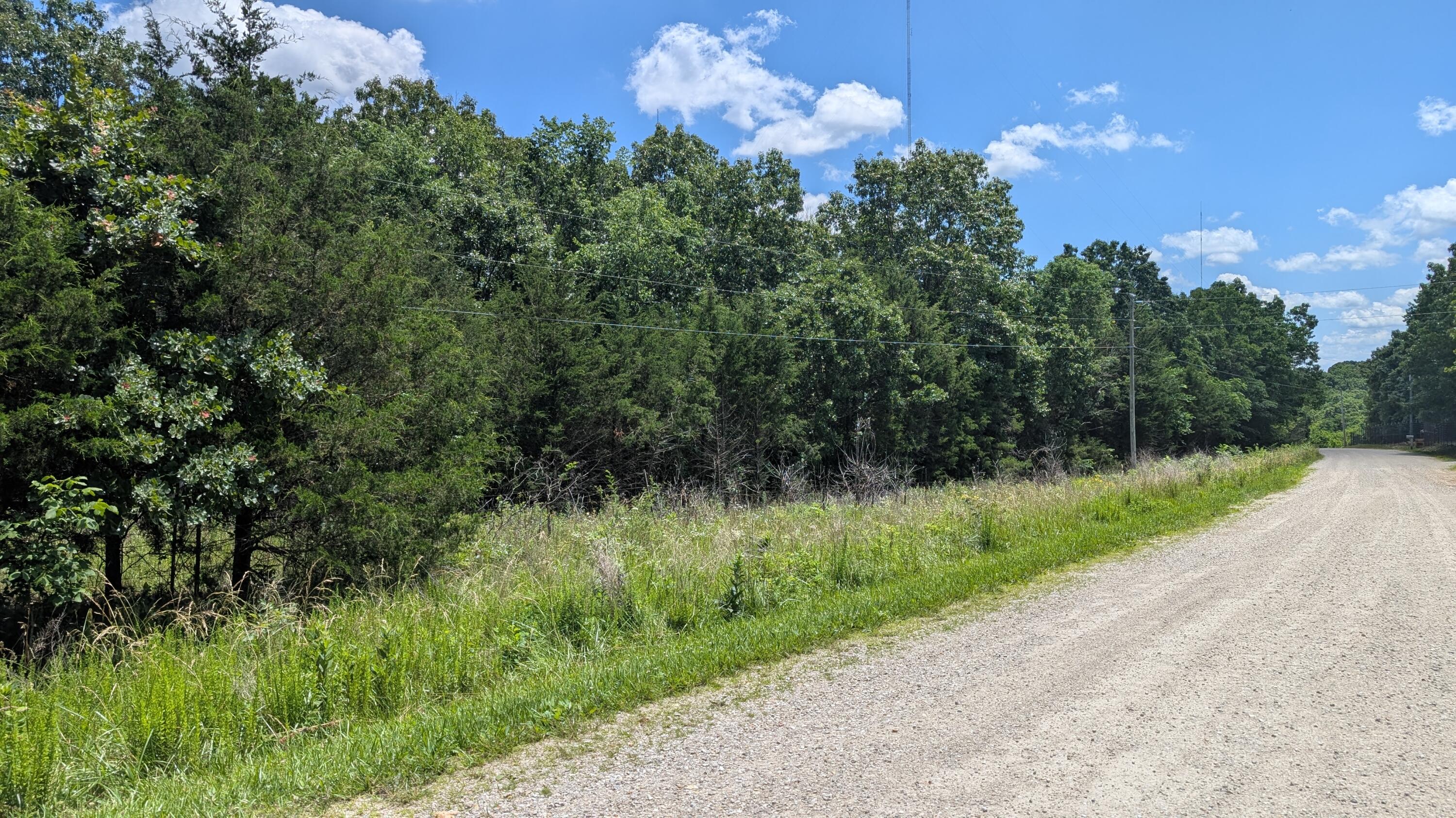 000 Gardner Hill Lane Property Photo 8