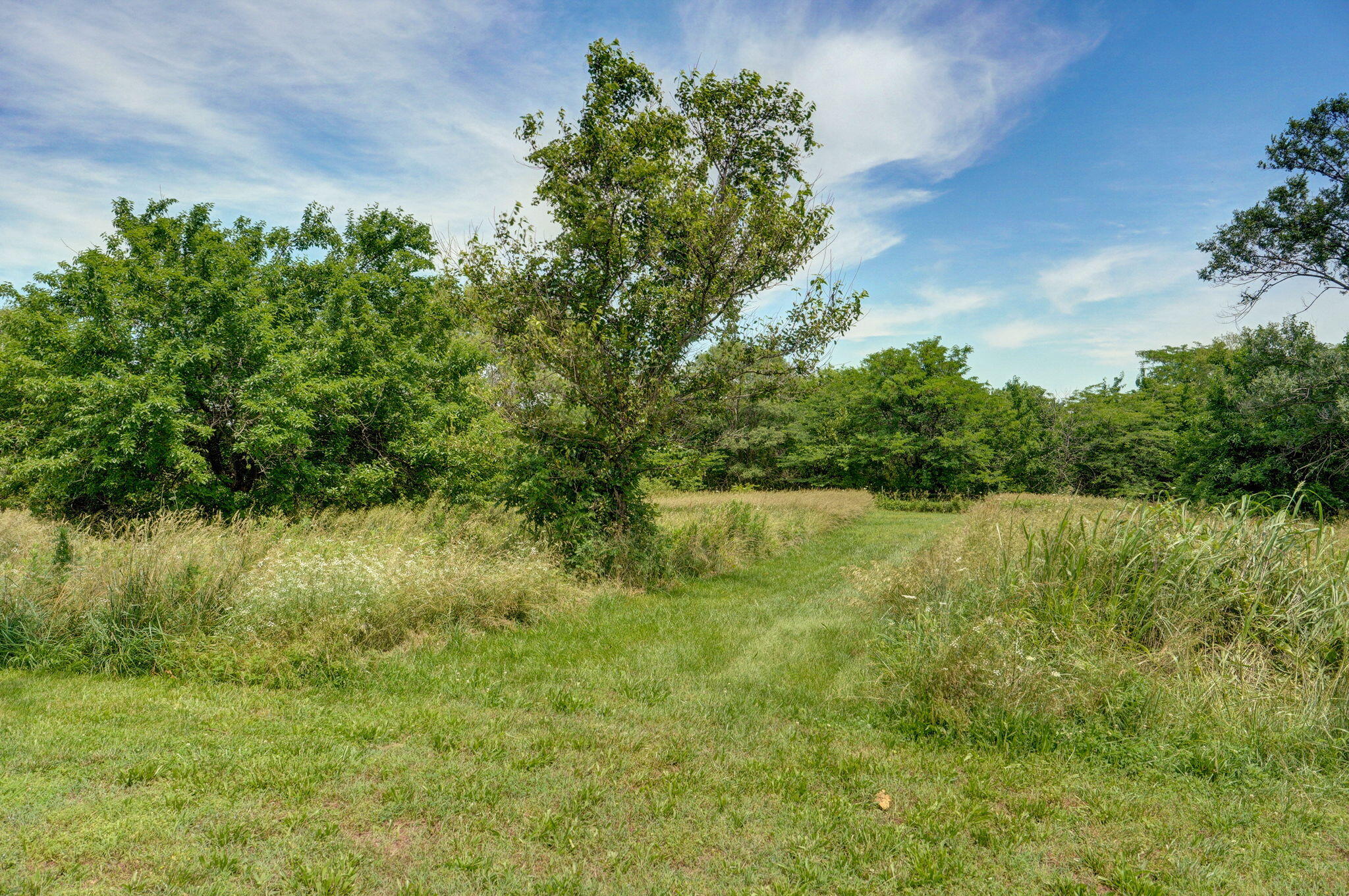 9215 West Farm Road 94 Property Photo 61