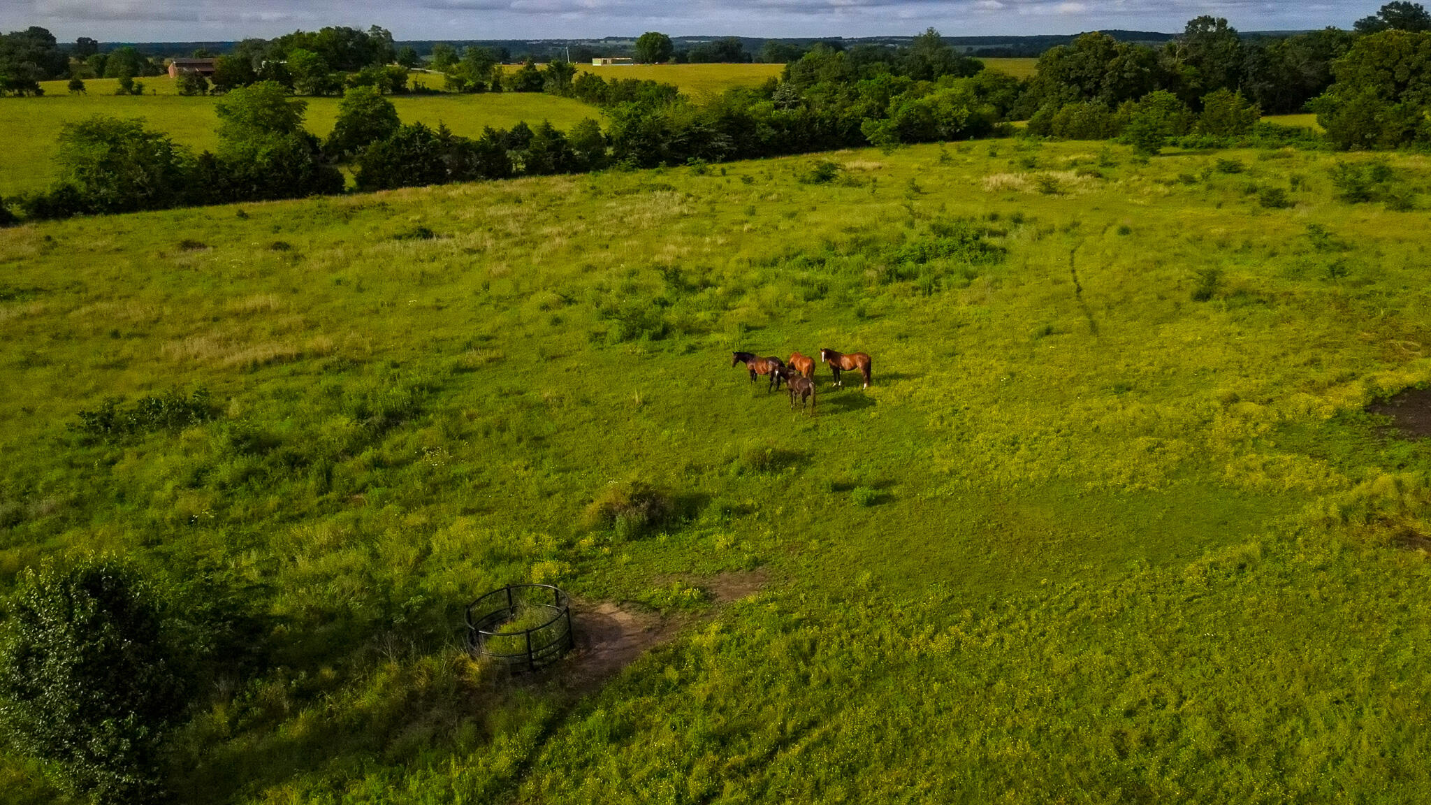 18080 County Road 361 Property Photo 13