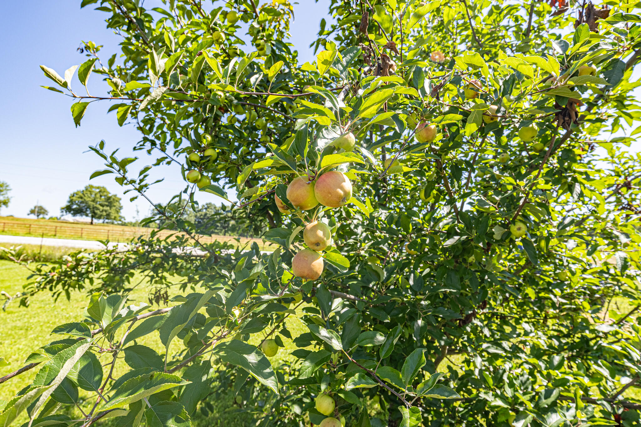 11518 Us Highway 65 Property Photo 8