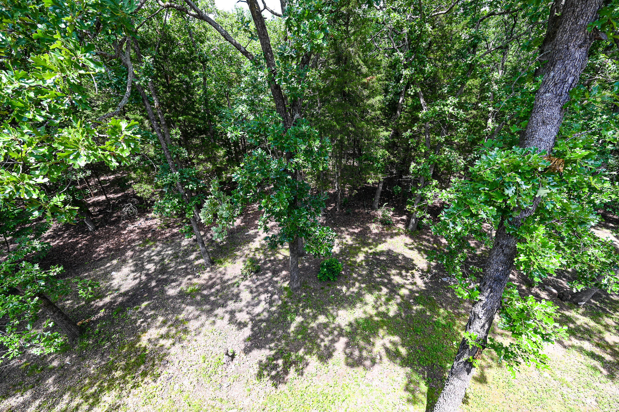 23736 Cedar Haven Circle Property Photo 44