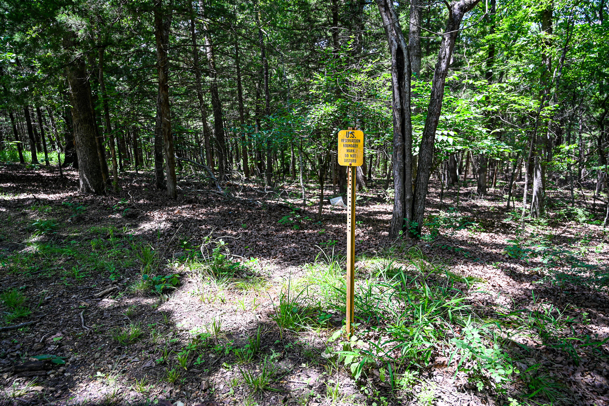 23736 Cedar Haven Circle Property Photo 68