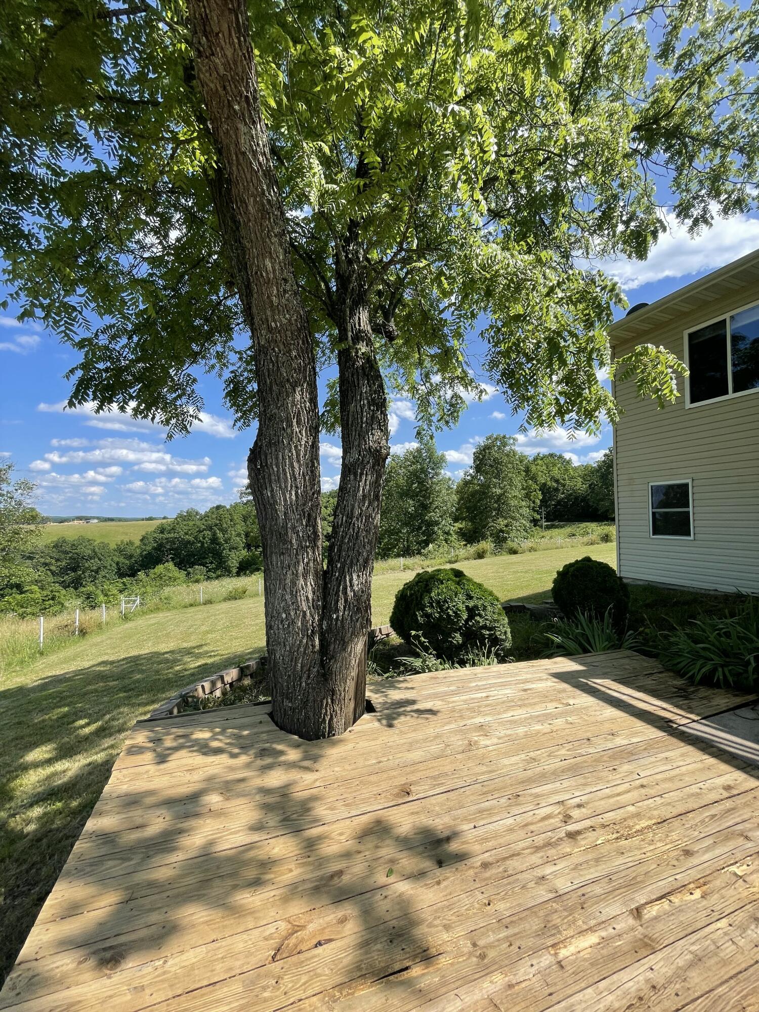 22017 East State Hwy 76 Property Photo 13