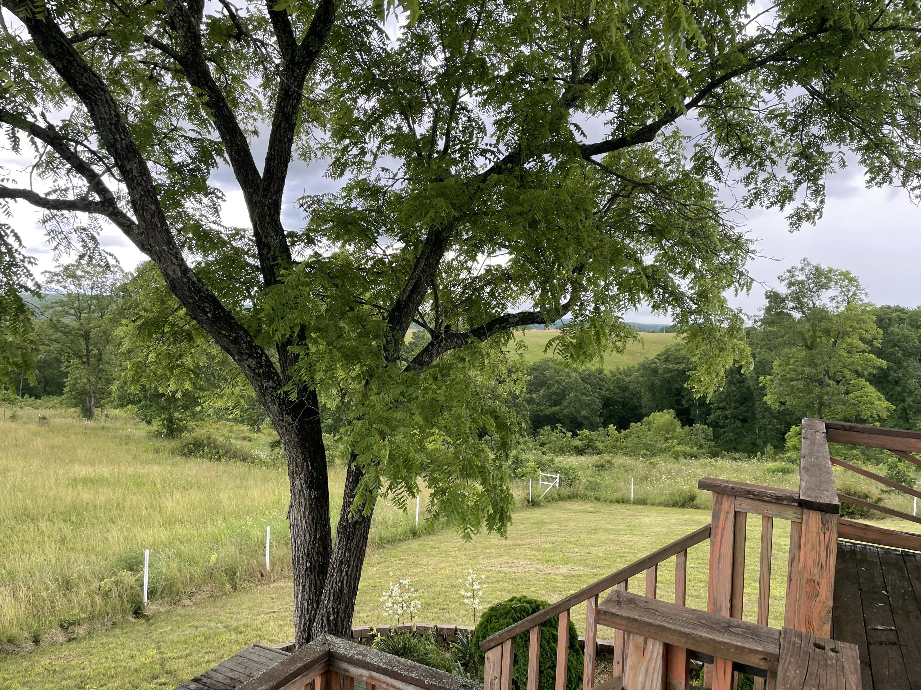 22017 East State Hwy 76 Property Photo 18