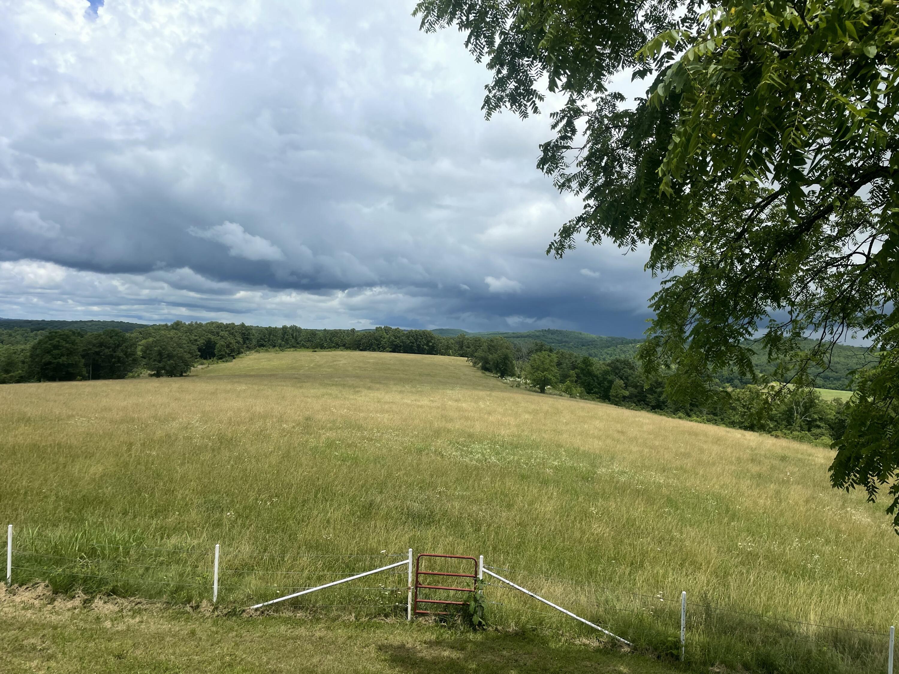 22017 East State Hwy 76 Property Photo 19
