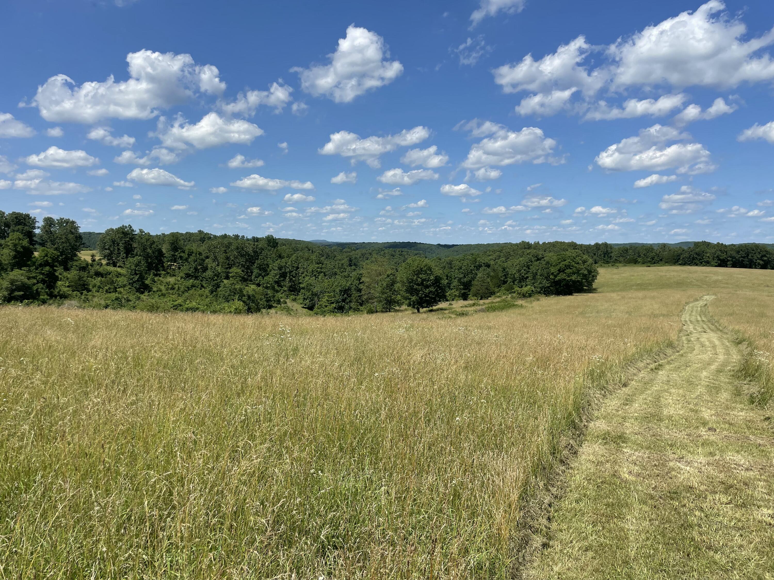 22017 East State Hwy 76 Property Photo 67