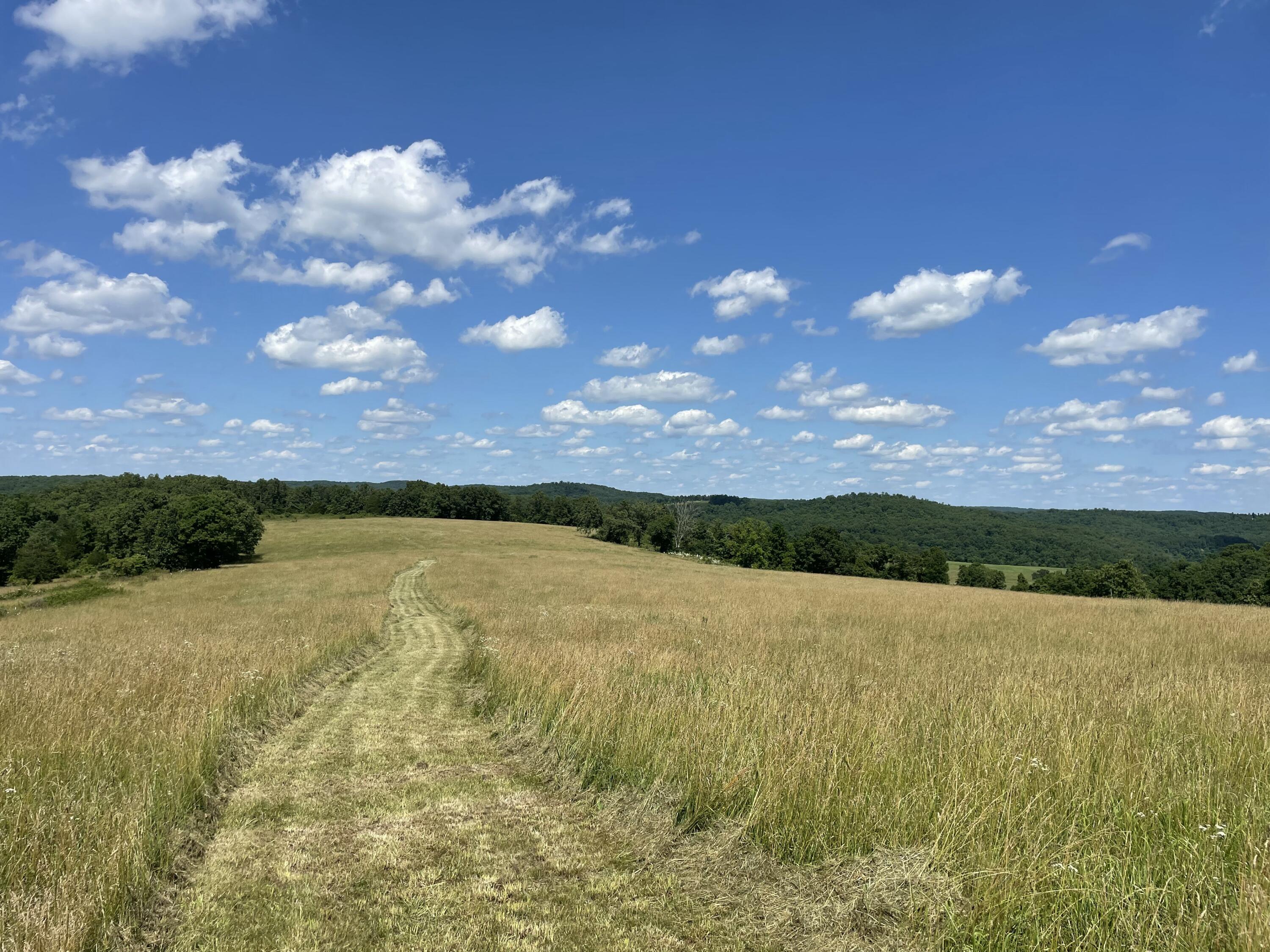 22017 East State Hwy 76 Property Photo 68