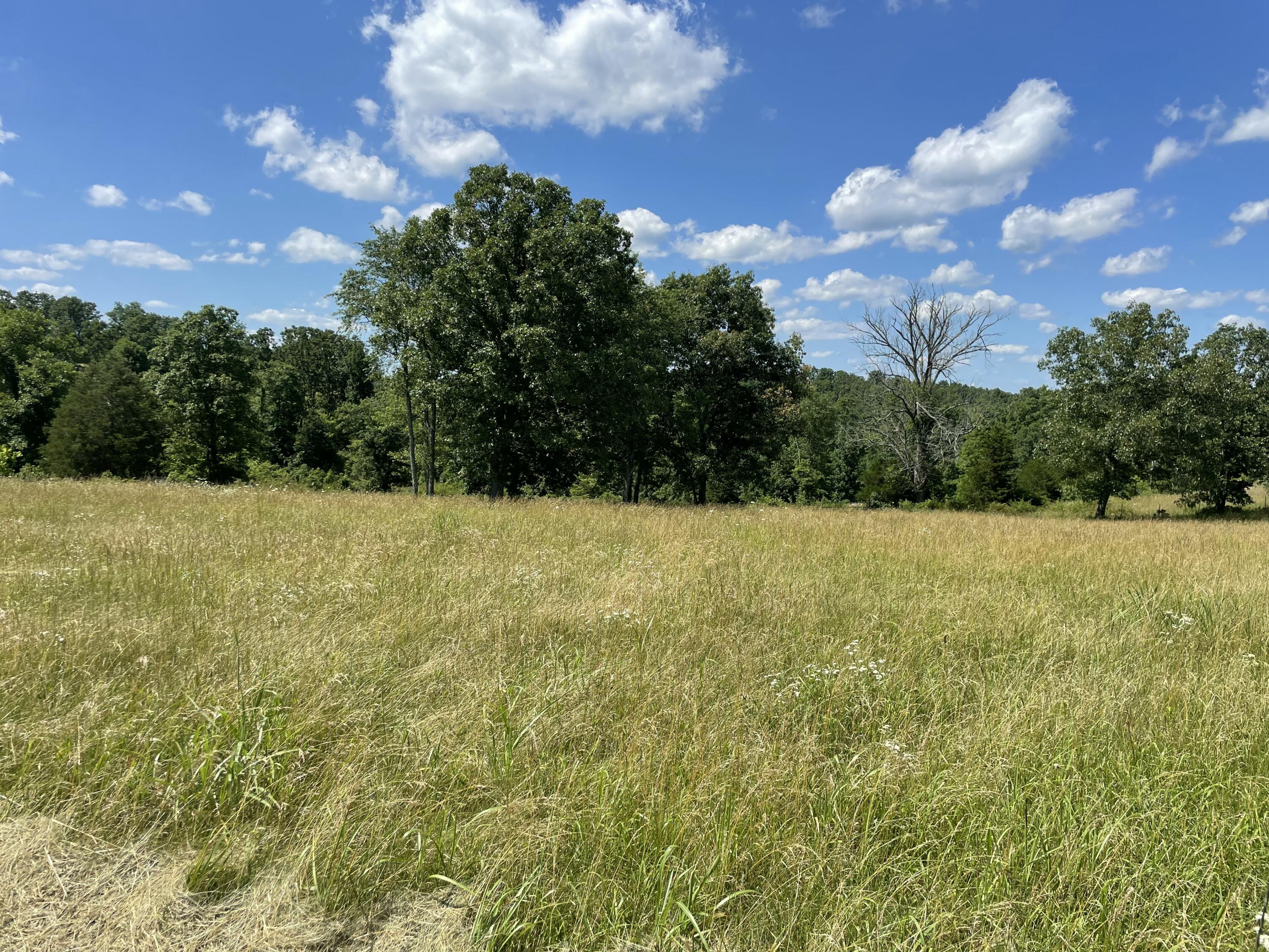22017 East State Hwy 76 Property Photo 69