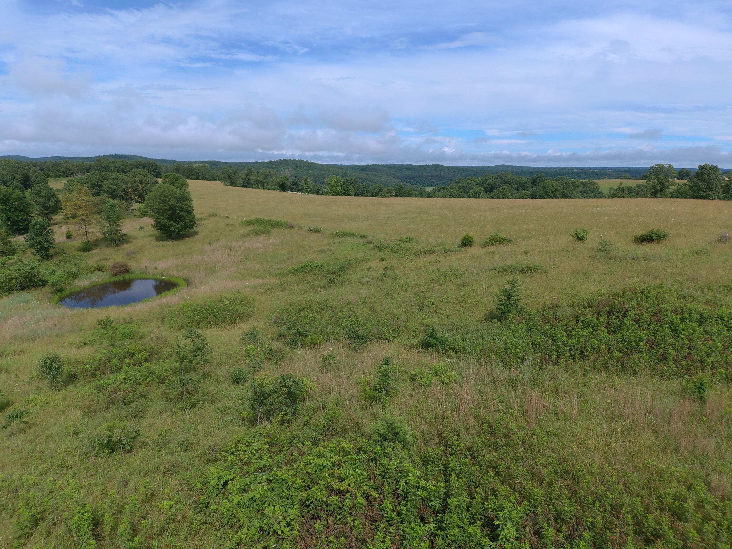 22017 East State Hwy 76 Property Photo 71