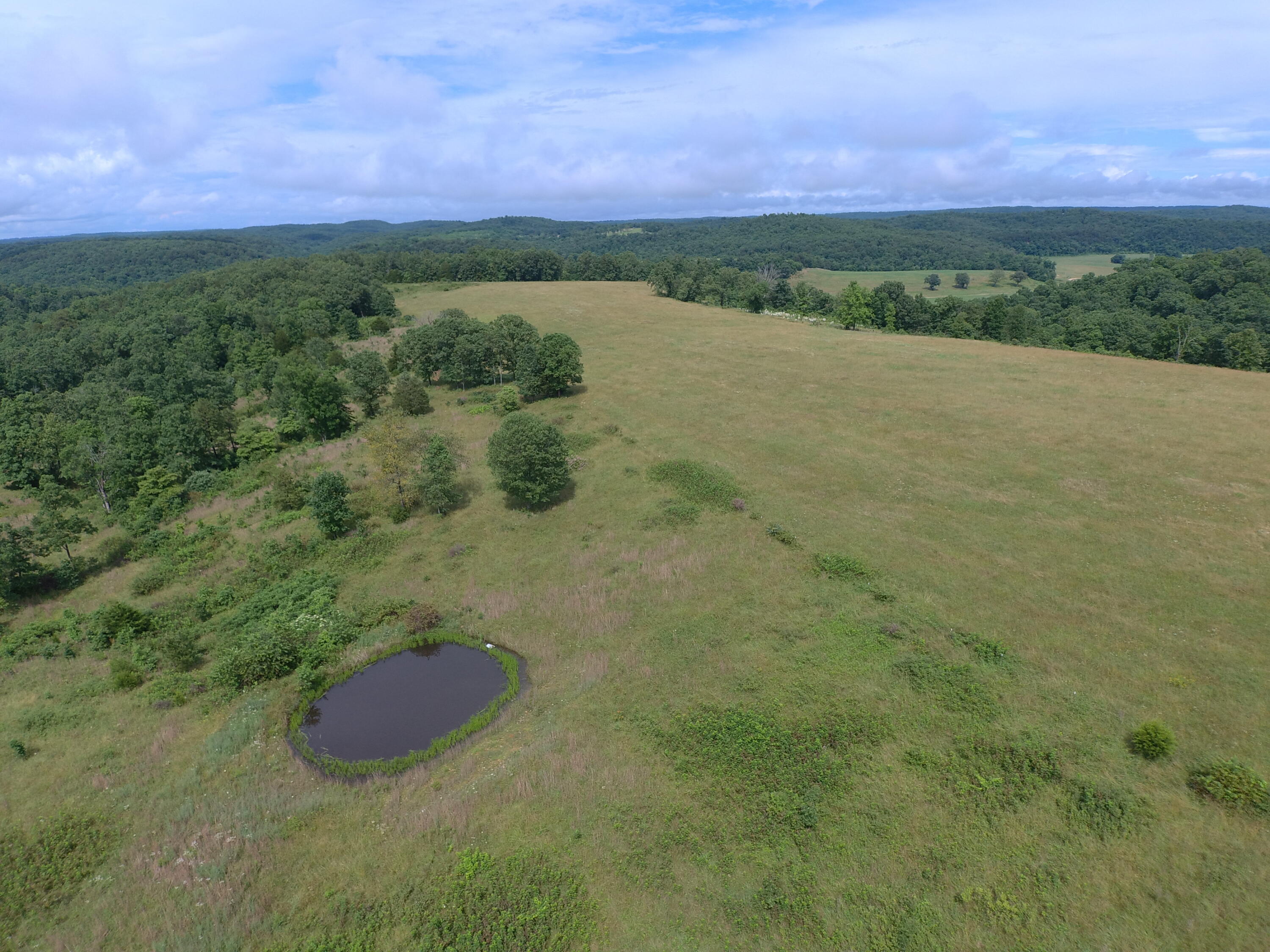 22017 East State Hwy 76 Property Photo 74