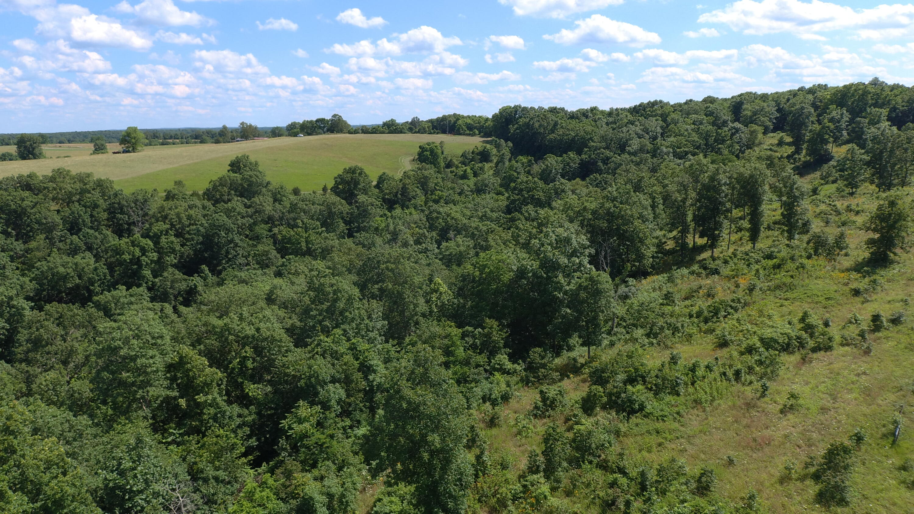 22017 East State Hwy 76 Property Photo 77
