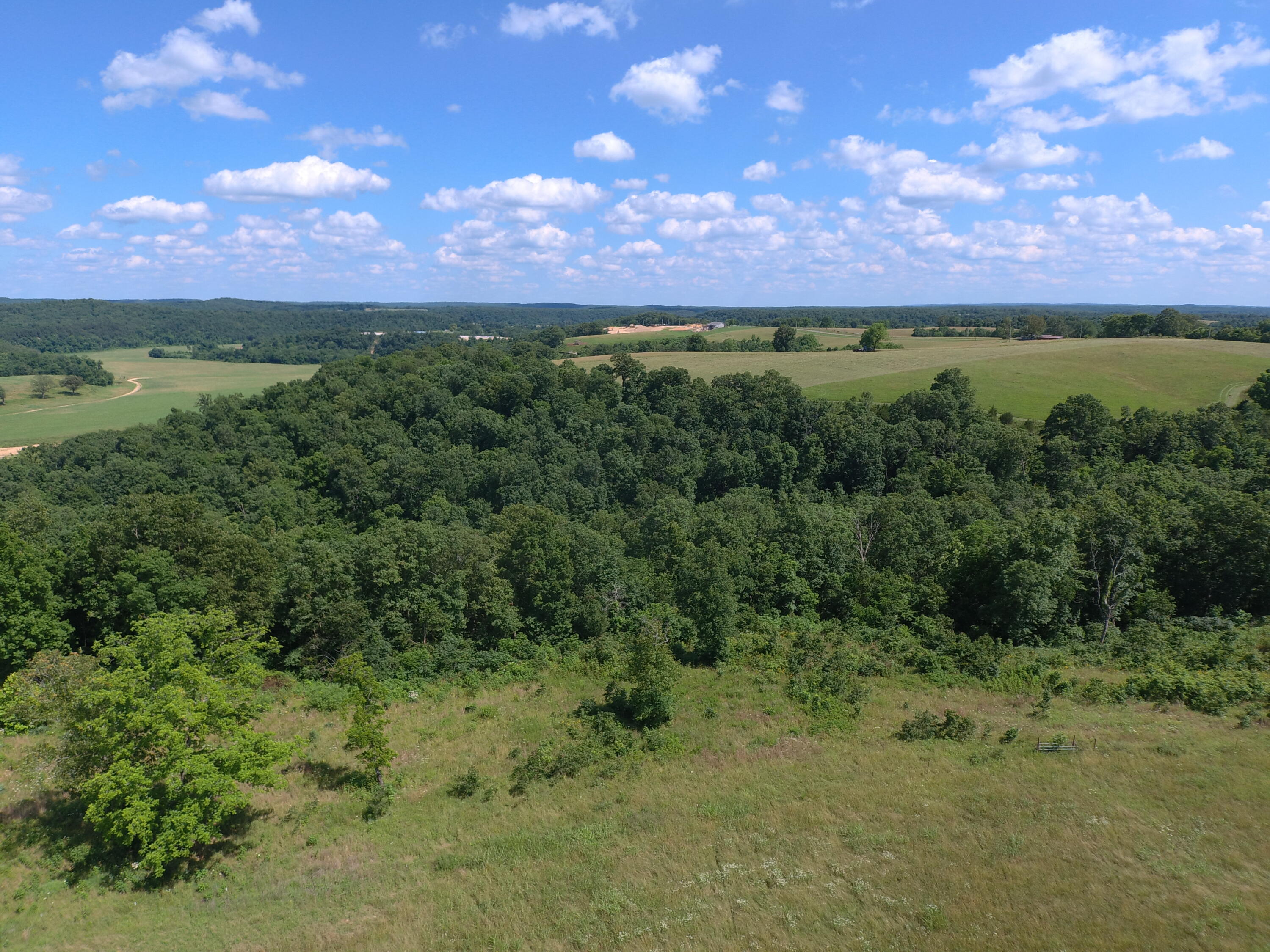 22017 East State Hwy 76 Property Photo 78