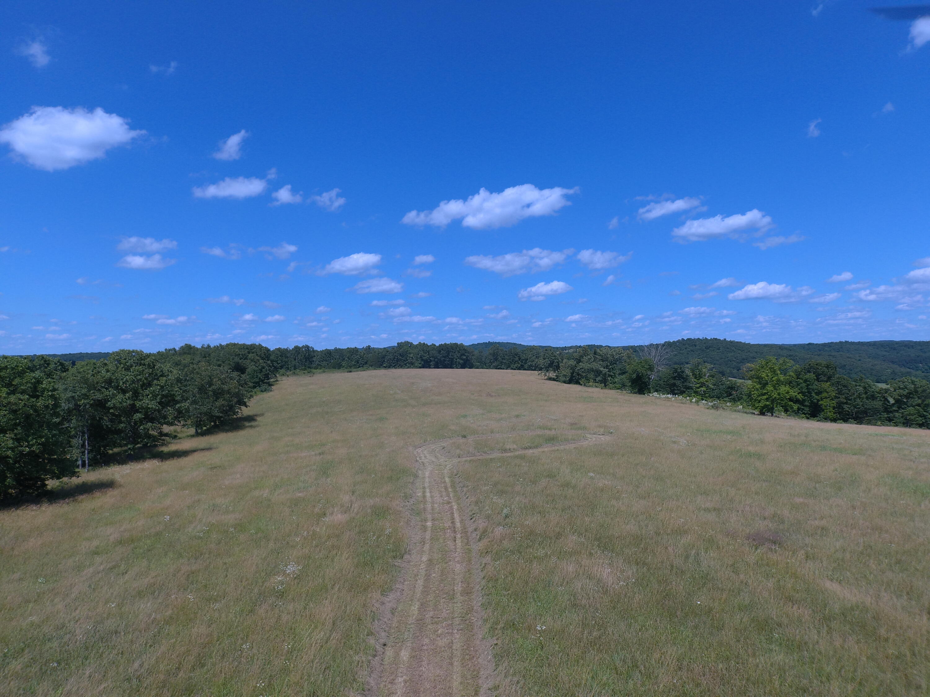 22017 East State Hwy 76 Property Photo 79