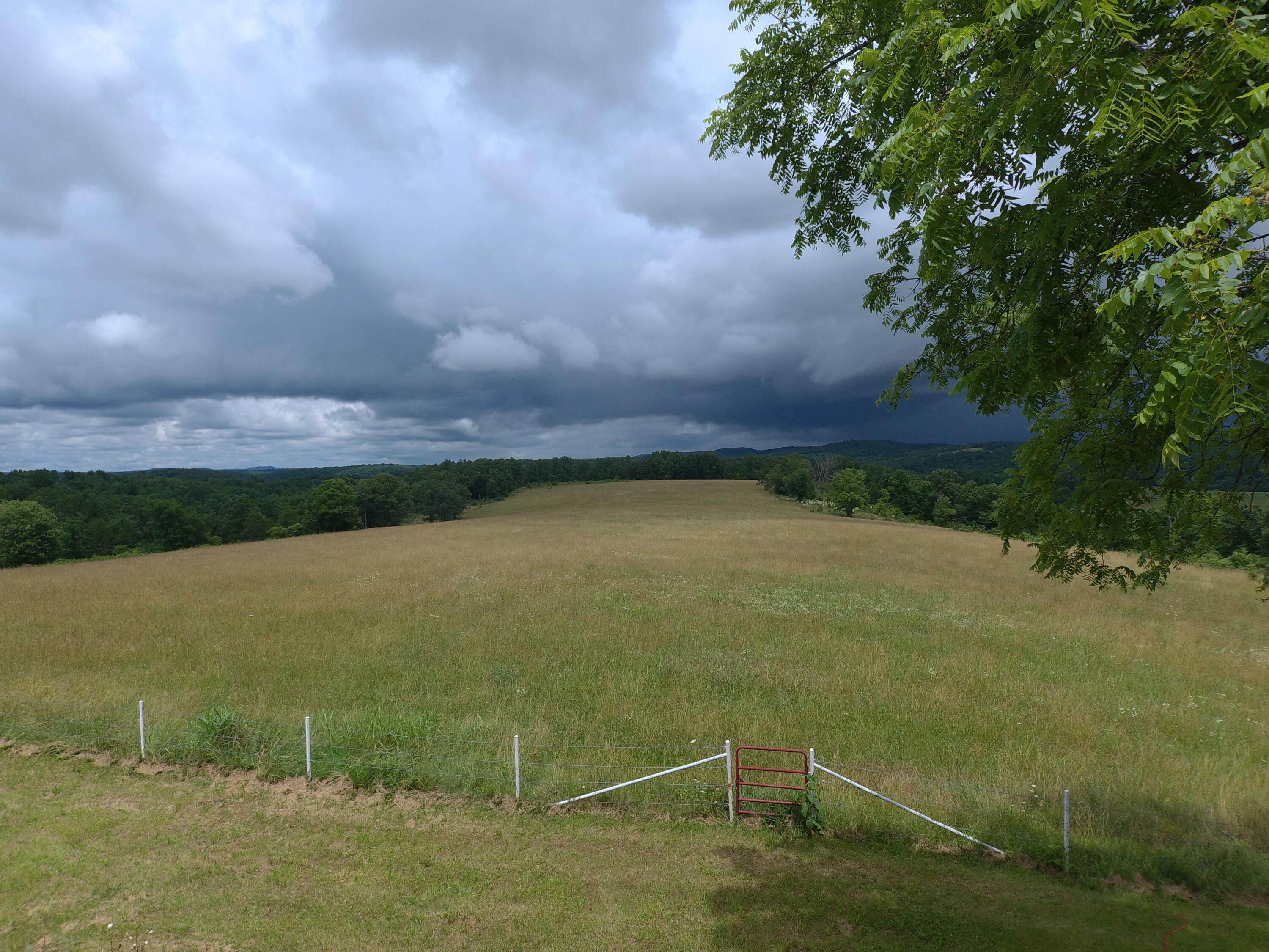 22017 East State Hwy 76 Property Photo 81