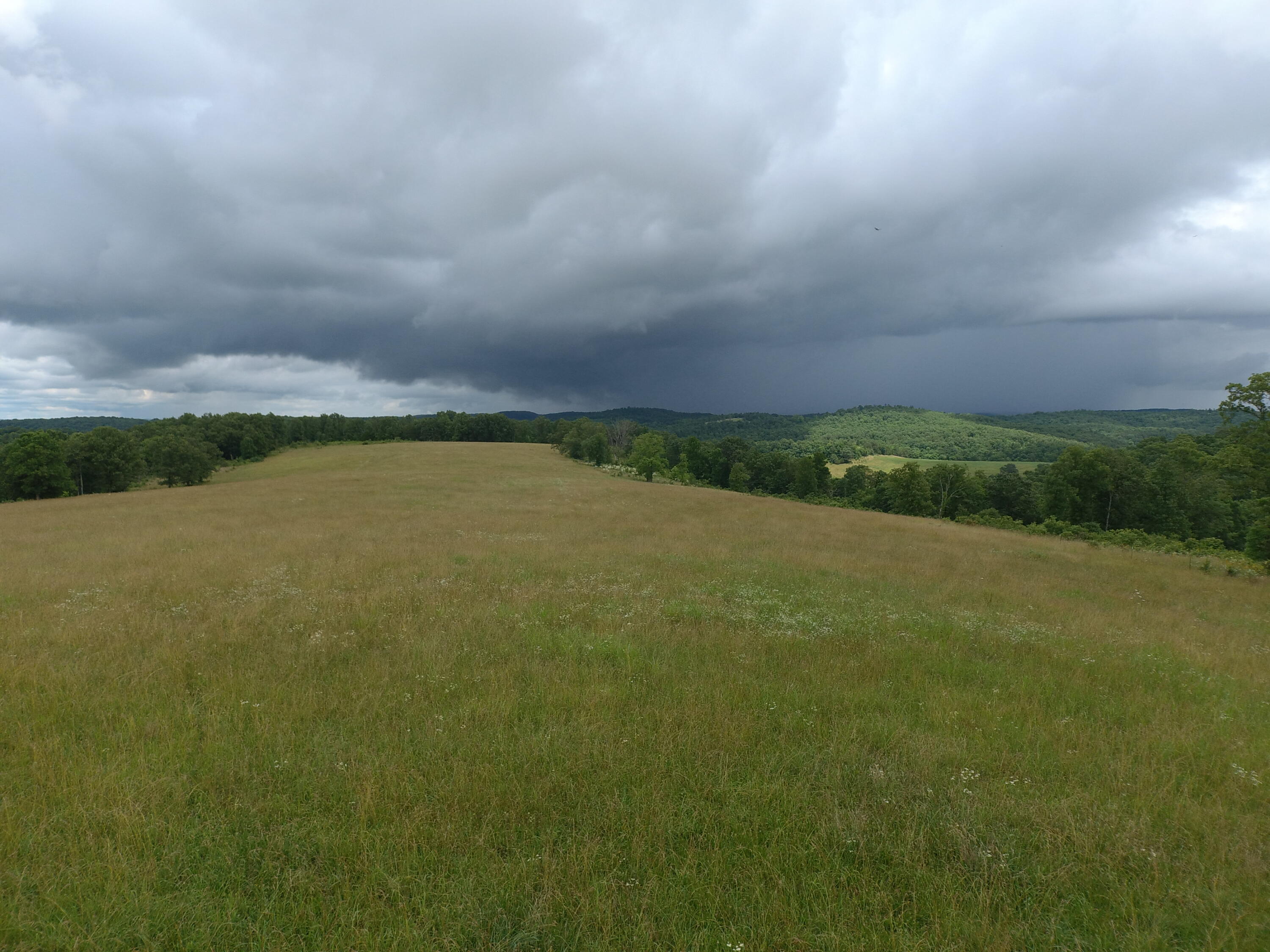 22017 East State Hwy 76 Property Photo 82