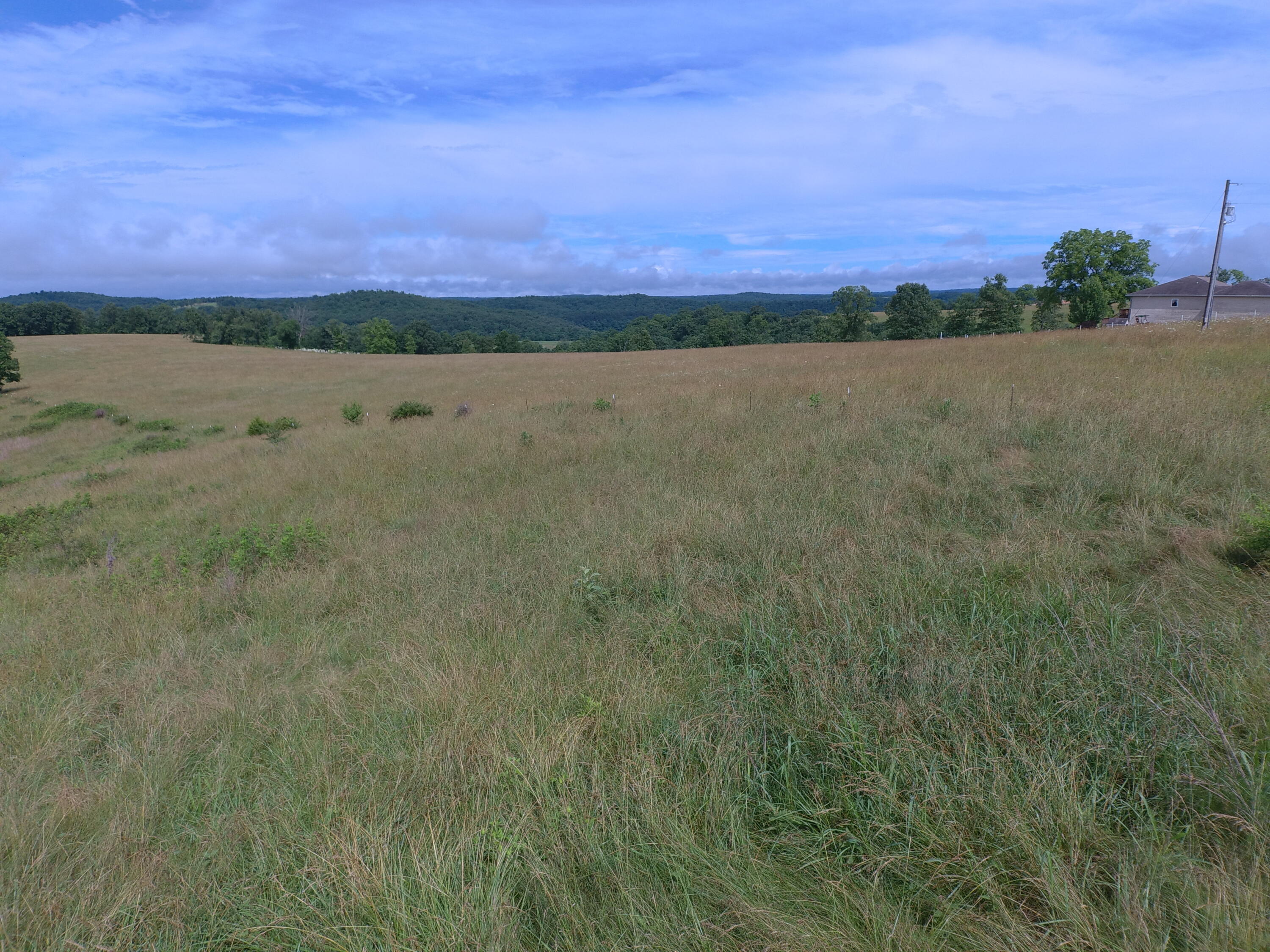22017 East State Hwy 76 Property Photo 84