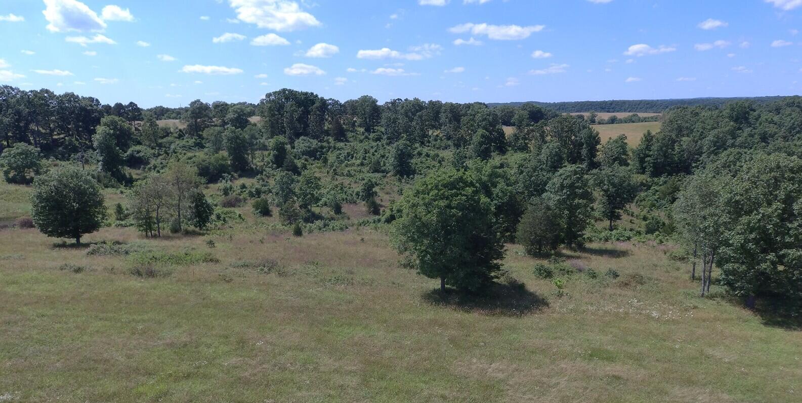 22017 East State Hwy 76 Property Photo 85